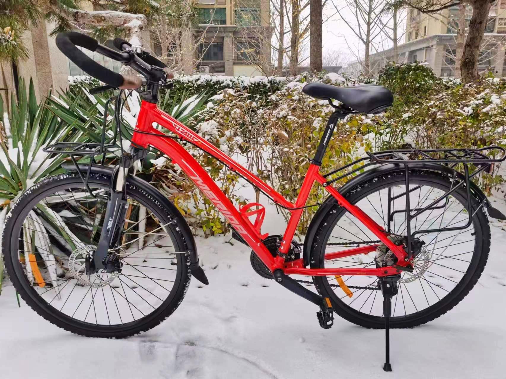 美利达野狼1.24速碟刹