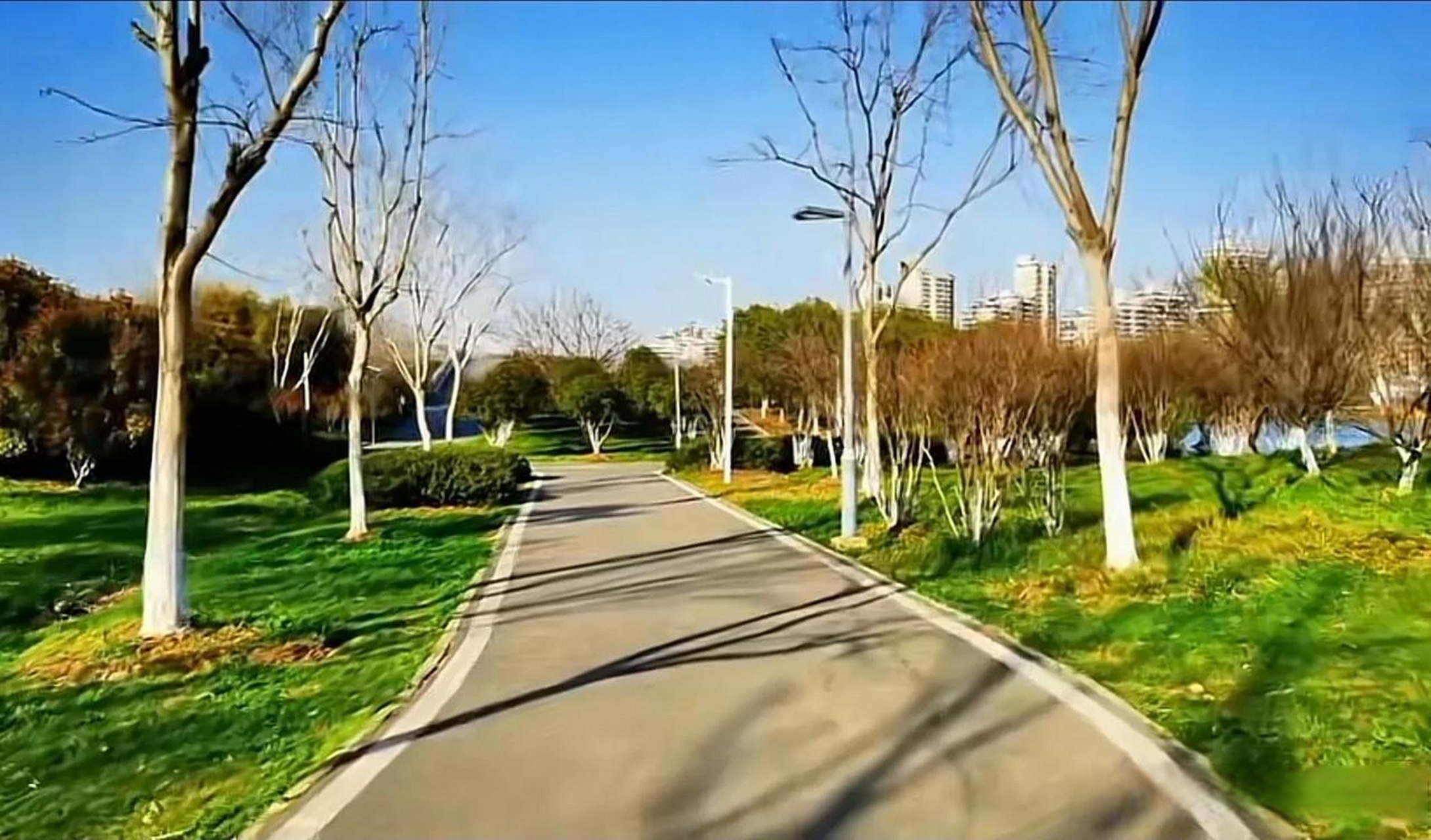 汉口全长42公里的环金银湖绿道,这个季节美不胜收,可骑行,可漫步,可