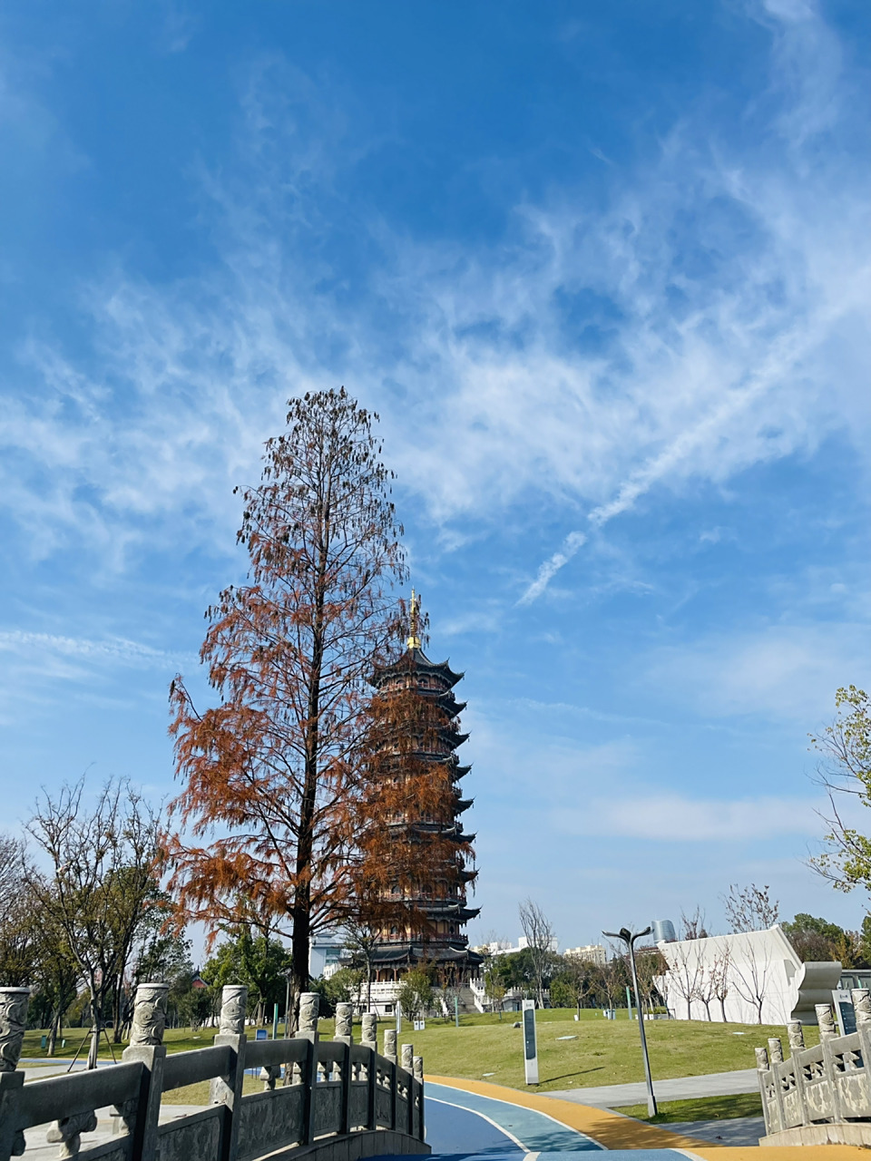 句容闲逛|家门口的公园也很美啊 葛仙湖公园儿时就玩的地方 风景不错