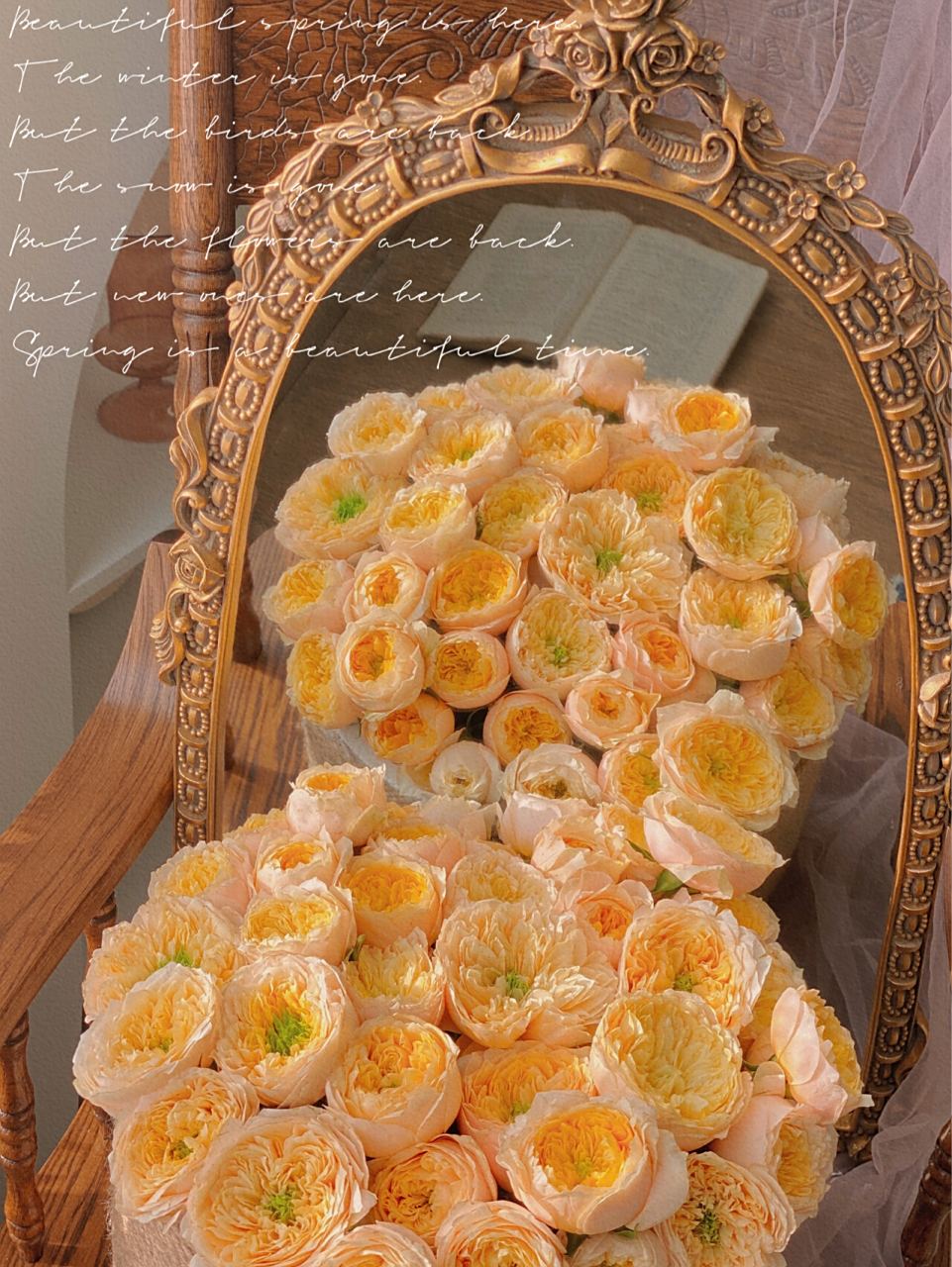 玫瑰和爱一样温柔 |网购鲜花 多头黄蝴蝶 养了很多次黄蝴蝶,这次最