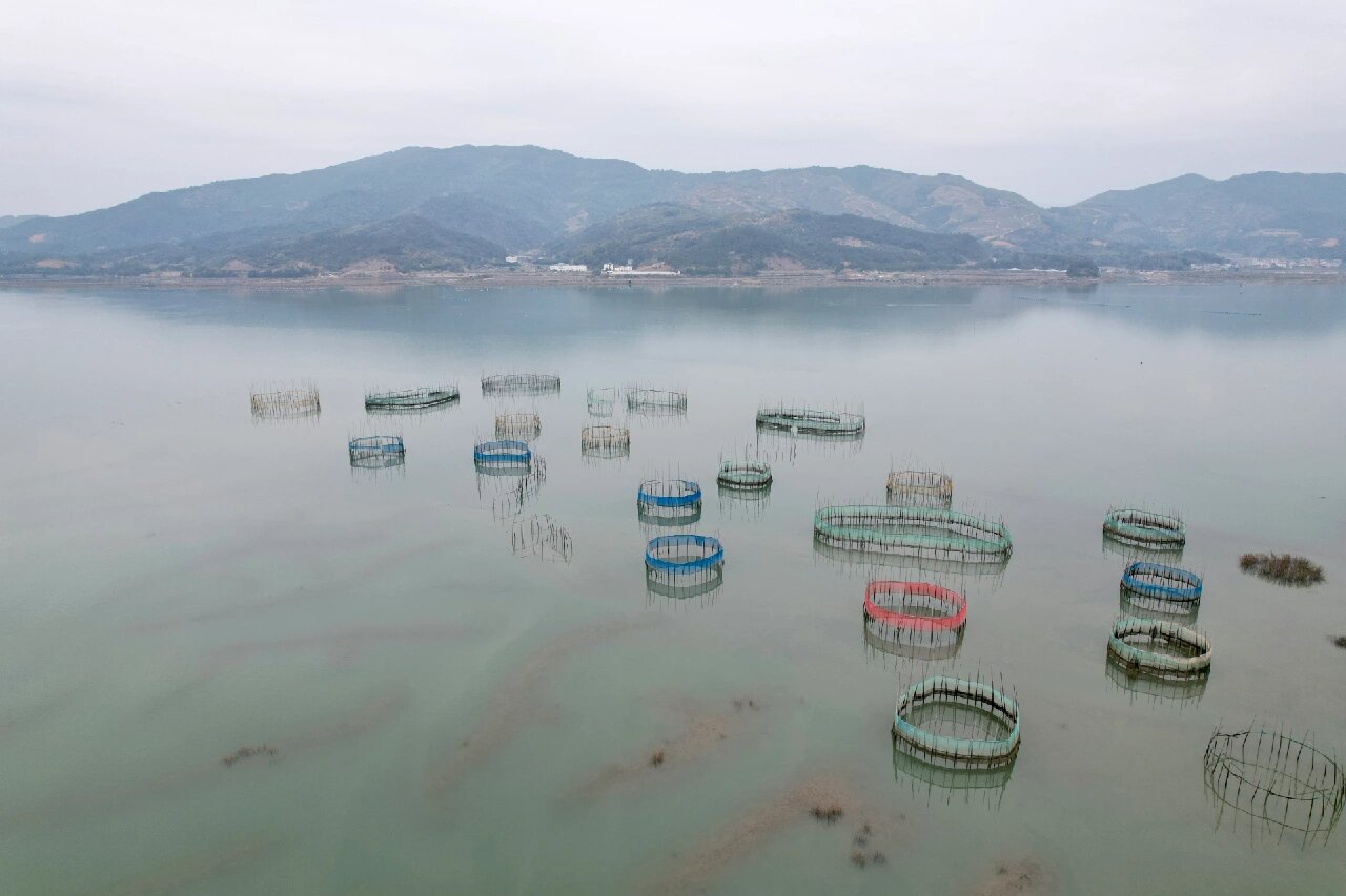 霞浦 | 南湾甲骨文,看这篇攻略就够了 霞浦南湾村,甲骨文摄影点,这里