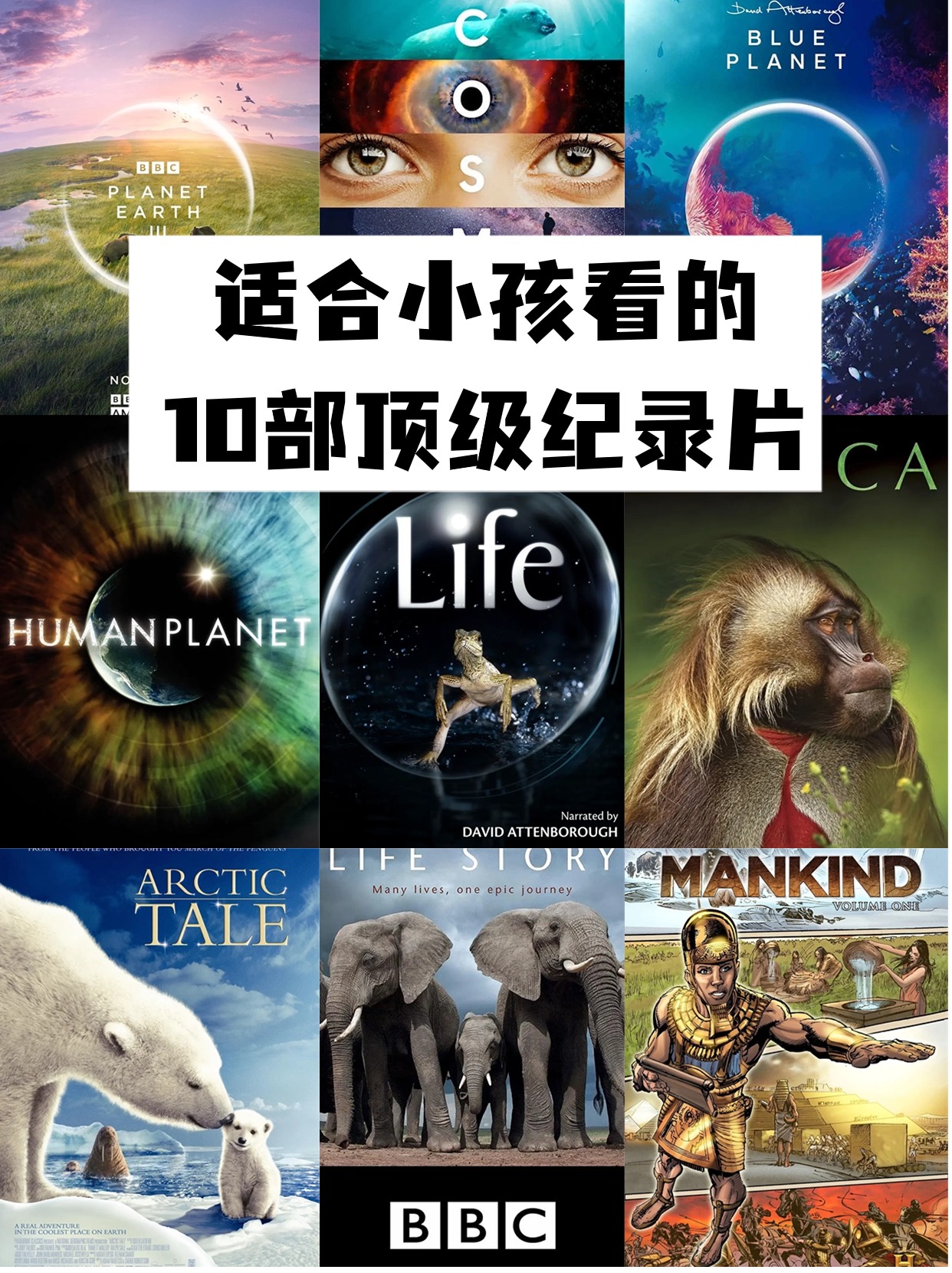 今天我超激动地要给你们安利几部适合小朋友观看的顶级纪录片,它们