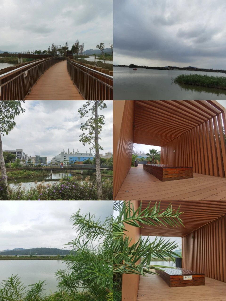 味道 大门口湿地公园位于珠海市金湾区三灶镇西部大门口东侧滩涂上端