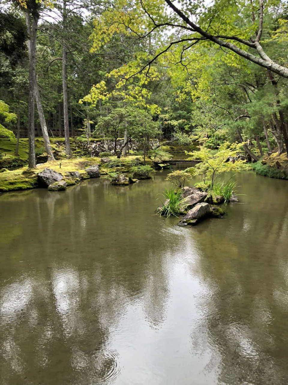 日本西芳寺图片