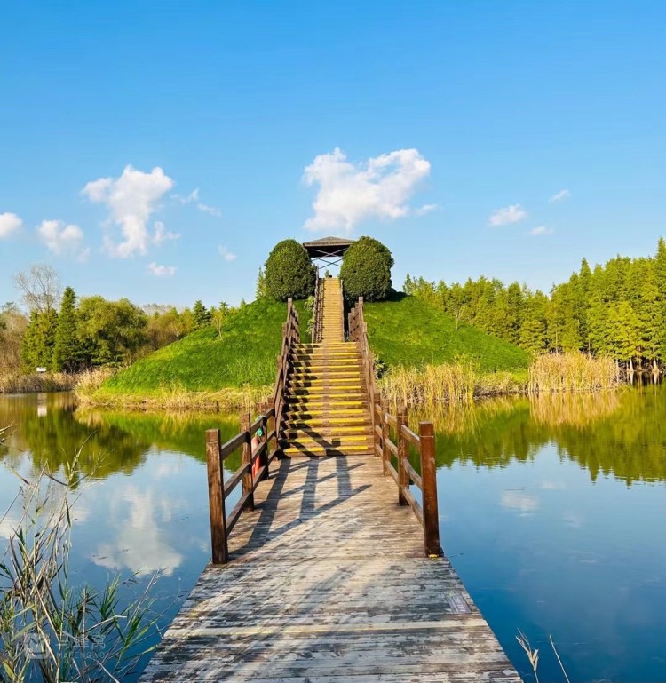 西沙国家湿地公园(1)(崇明区)