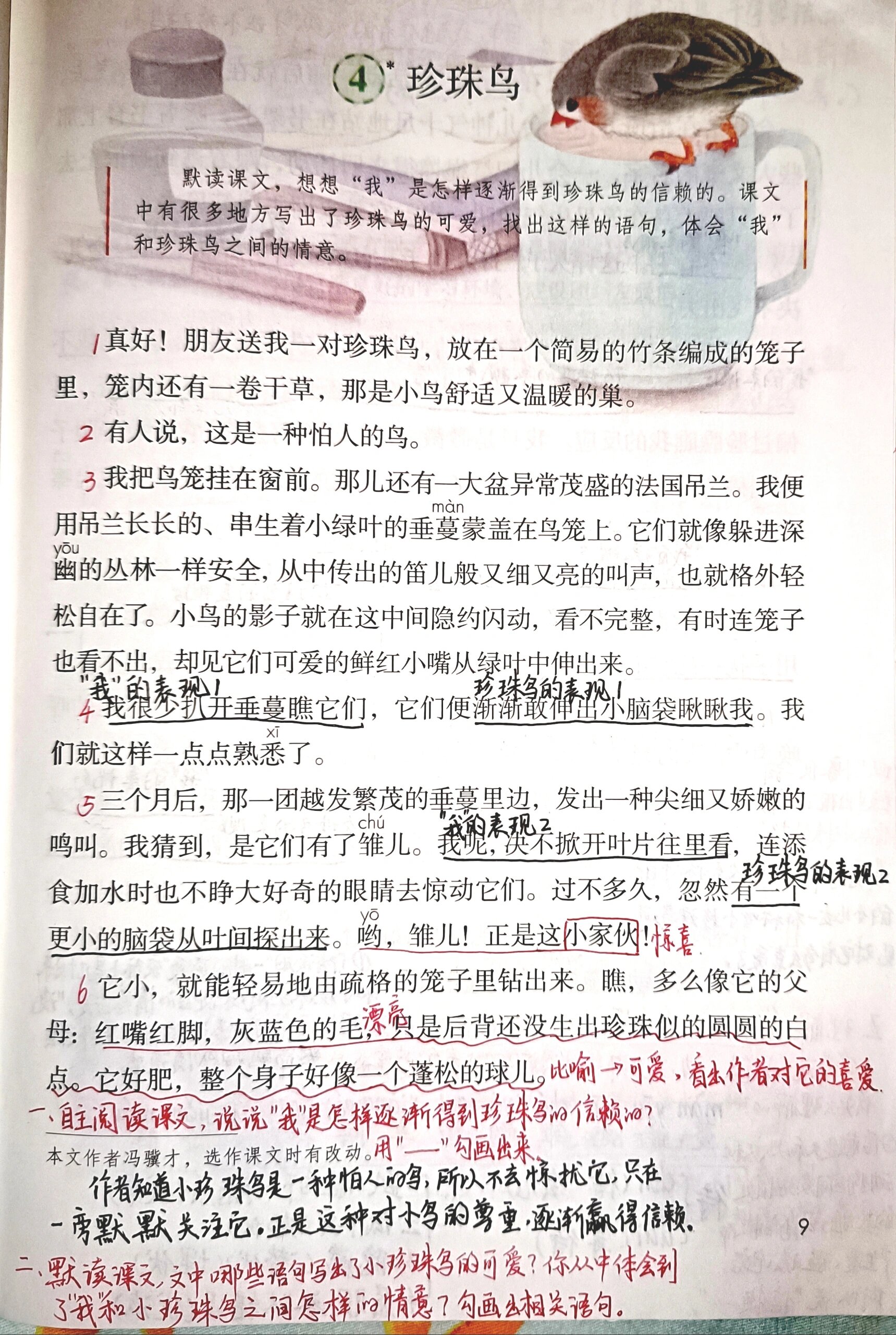 五上语文备课4《珍珠鸟》