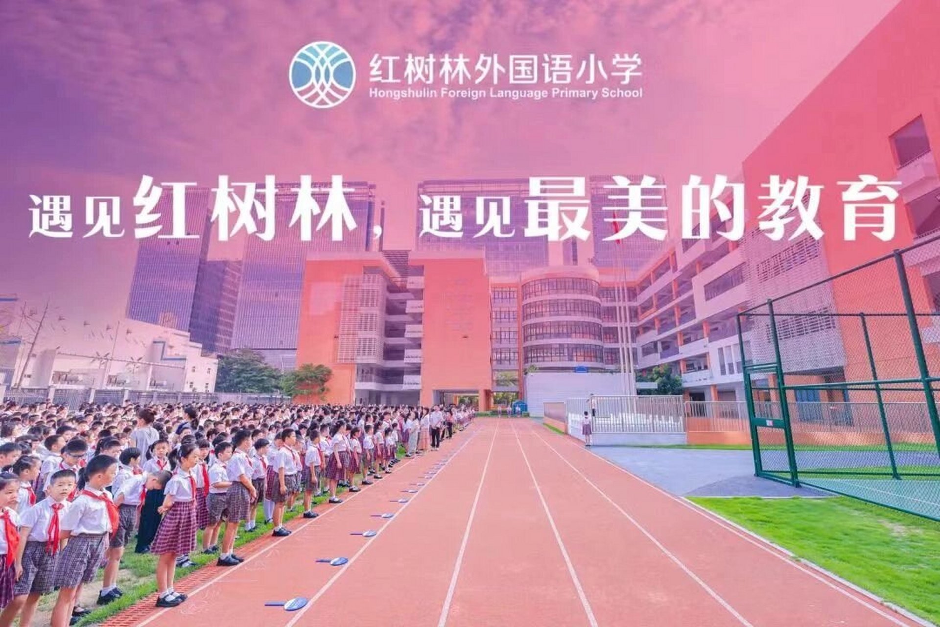 红树林外国语小学图片