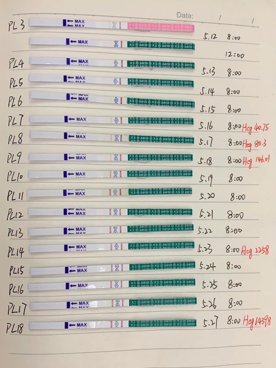 hcg图片和数值对照表图片