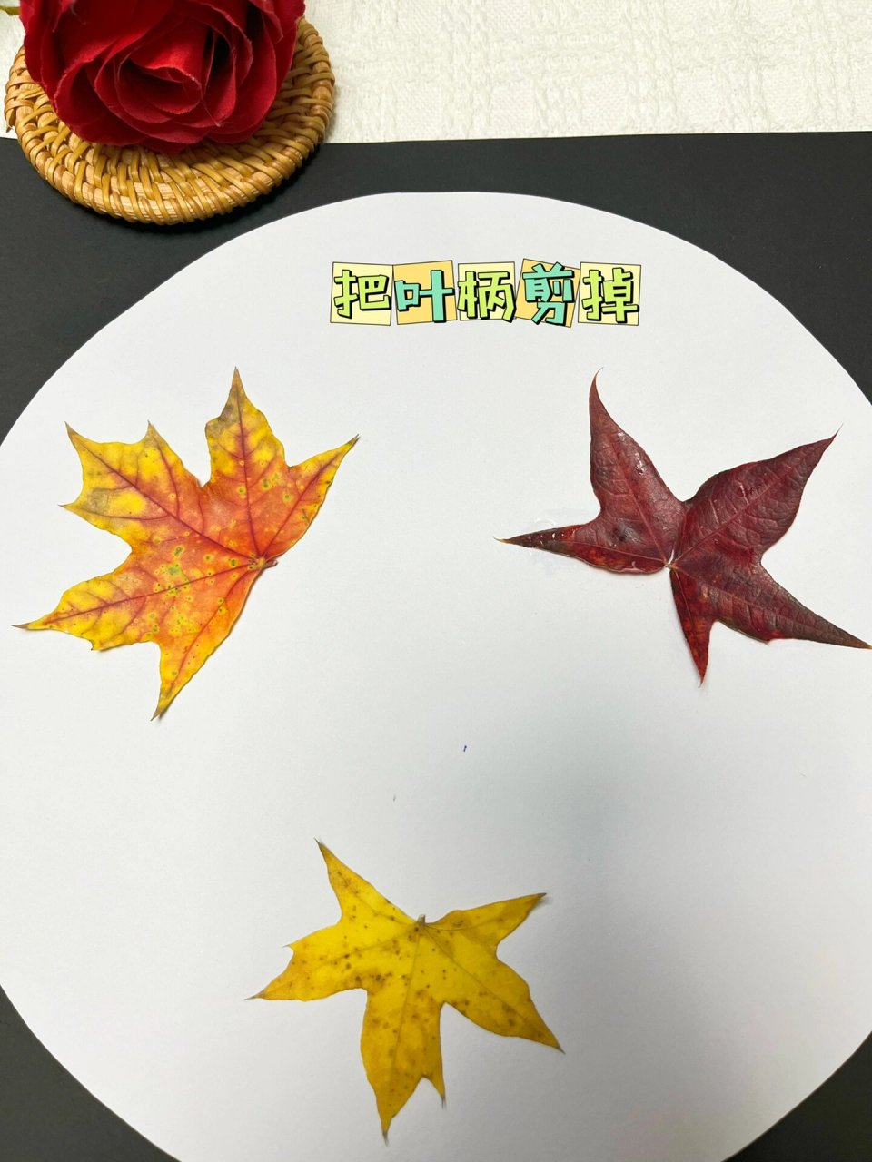 树叶贴画 用枫叶做一幅超简单的树叶贴画吧