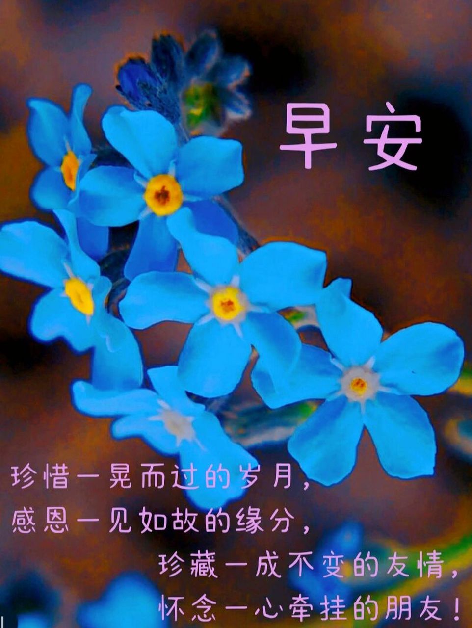 朋友圈早安问候文案图片 珍惜一晃而过的岁月, 感恩一见如故的缘分