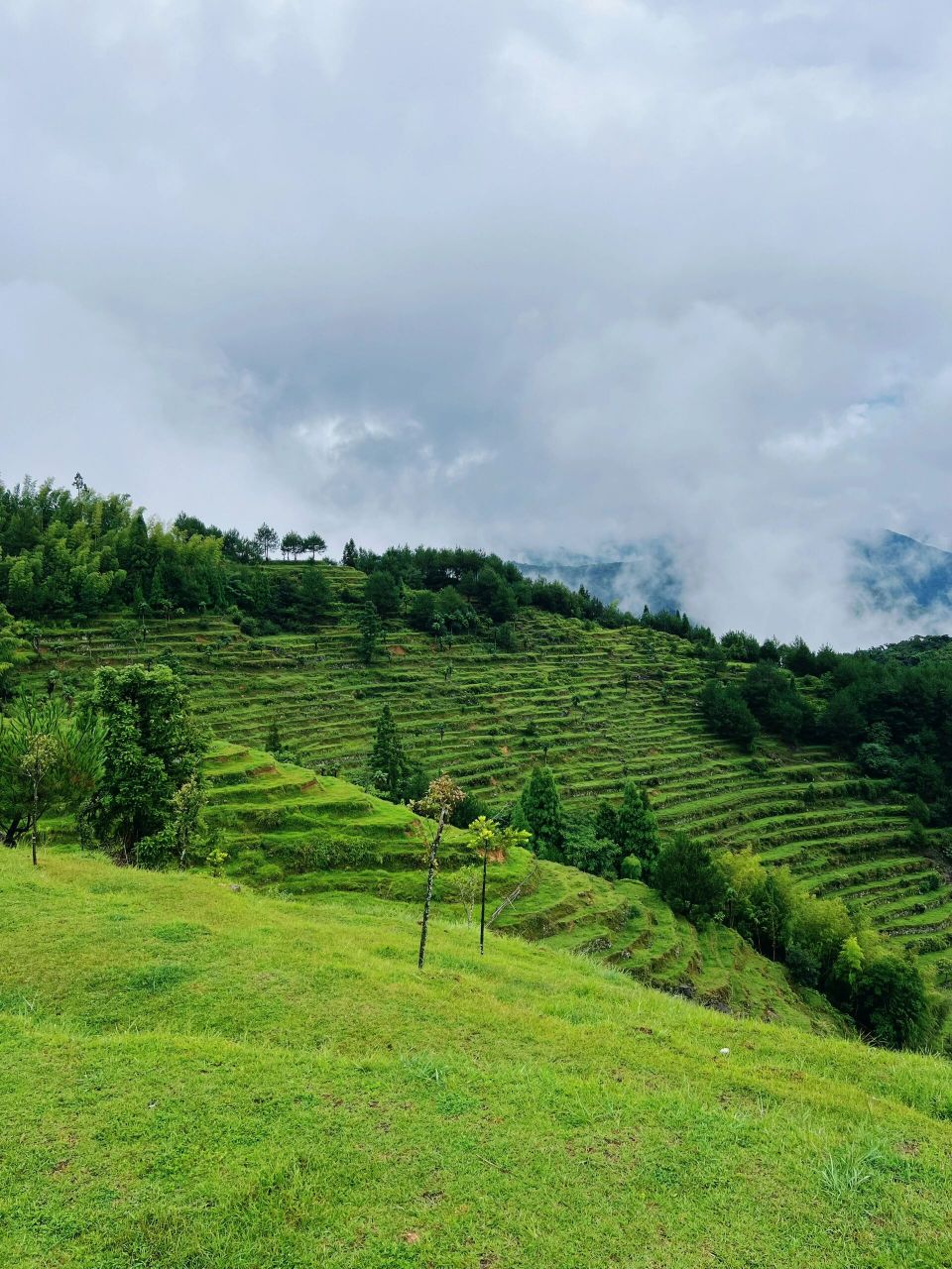 好像走入了仙境 73导航:莆田市仙游县前溪村,一路都很平坦,山路弯曲