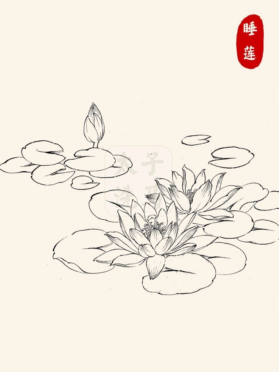 合集👉第2弹 📖今天分享的是玉兰花,兰花,枇杷,水仙花,梨花,睡莲