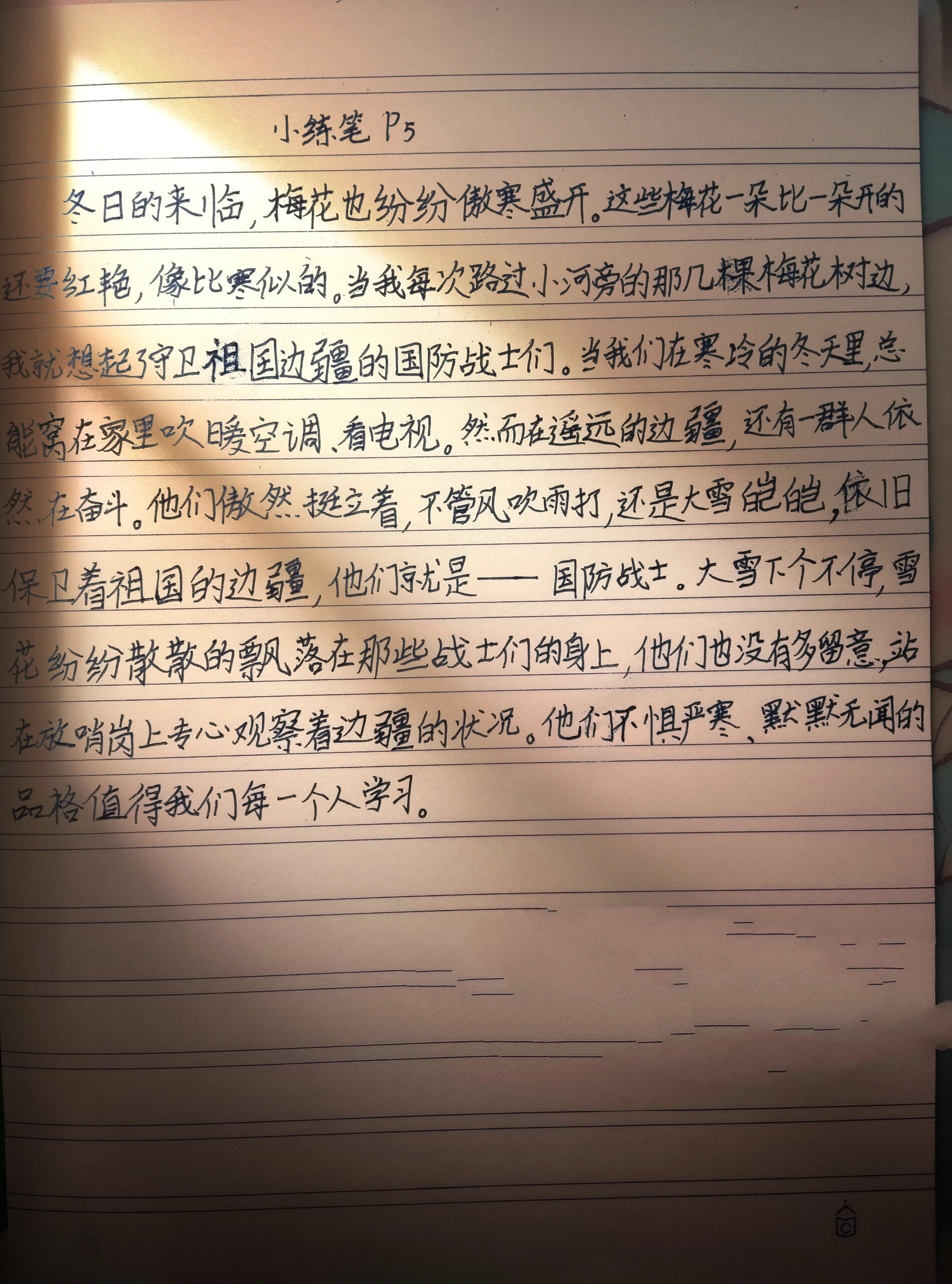 五年级上册第二课落花生小练笔范文