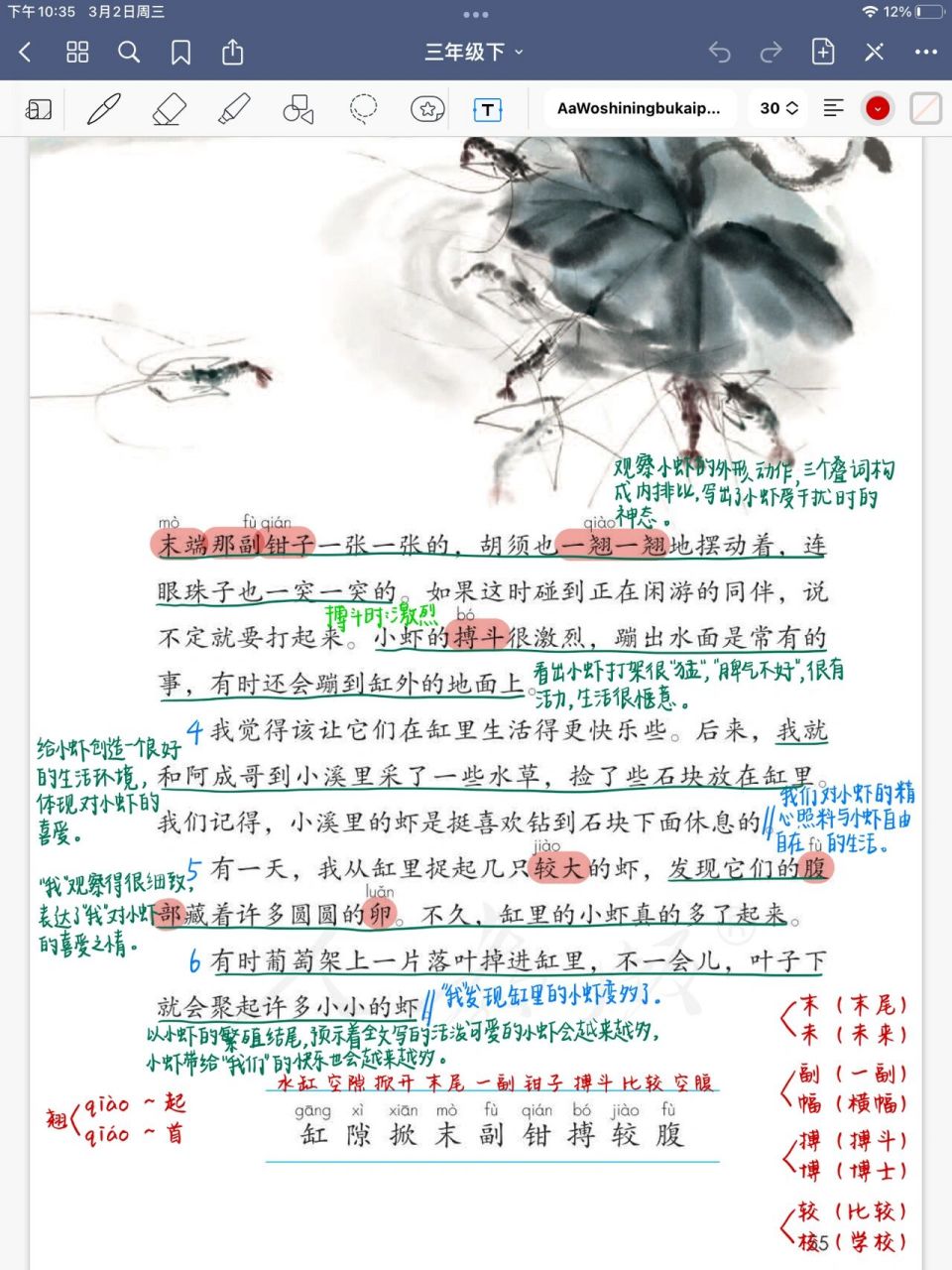 第15课《小虾》 三年级语文下册 第15课《小虾》课堂笔记