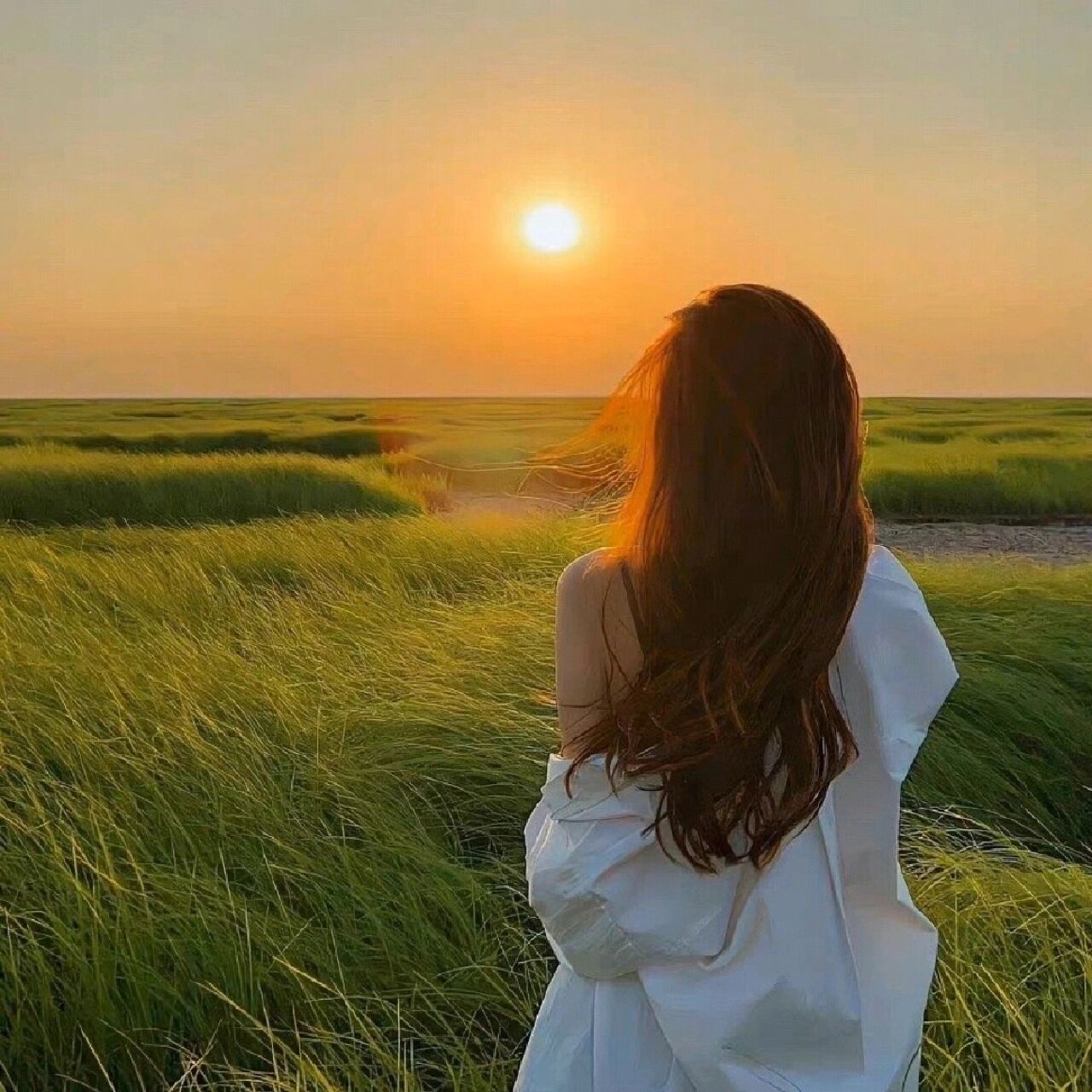 女生头像~夕阳和大海也许是最好的陪伴 永远向着星辰前进,才不会迷失