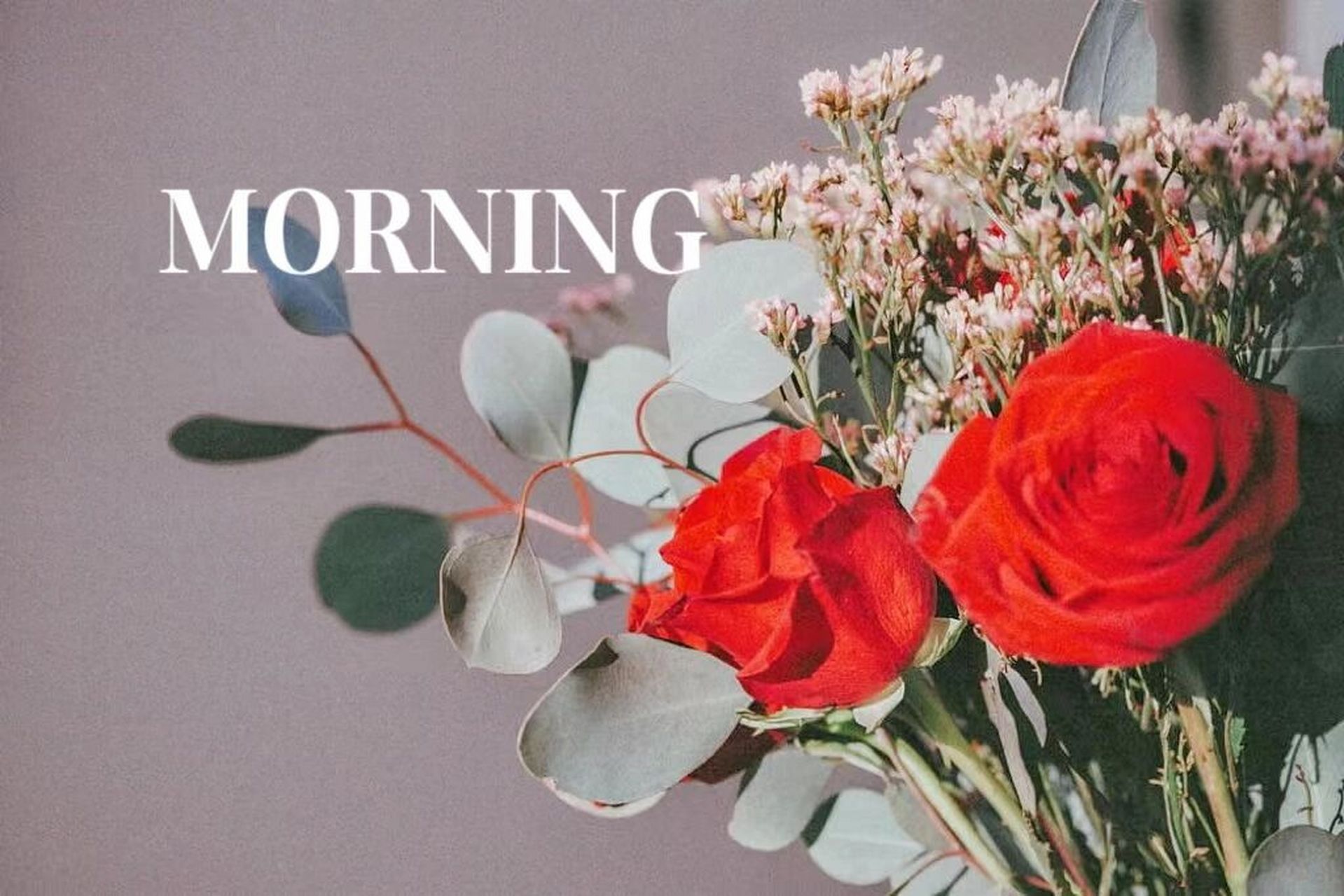 给人生换个活法 调整心态看生活 处处都是阳光 	 等风来不如追风去