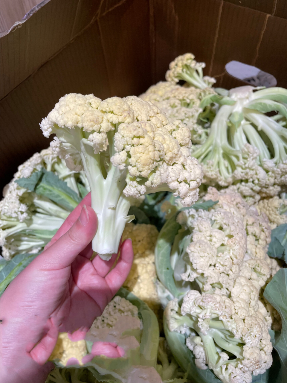 有机花菜,白面散花菜,有机菜花,是十字花科芸薹属甘蓝种的变种花椰菜