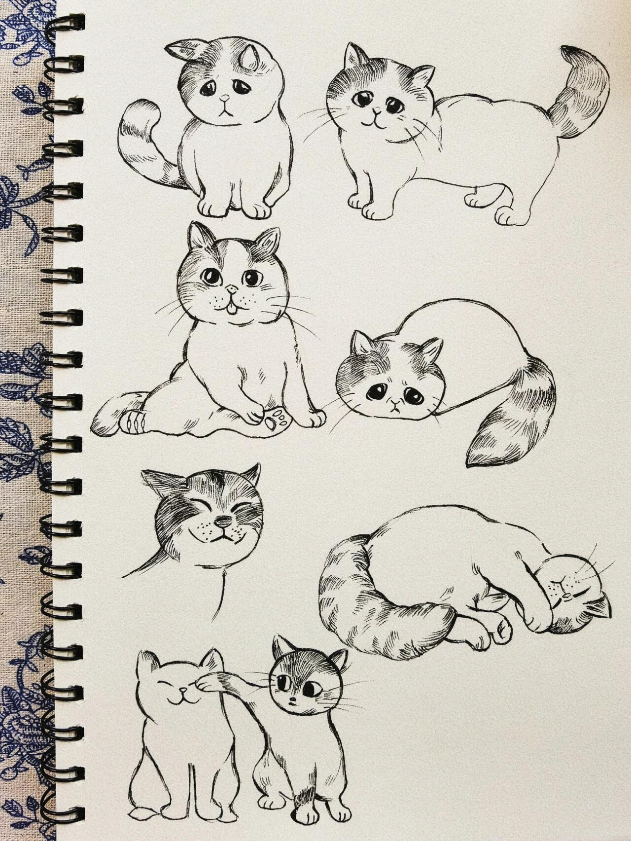 手绘猫咪🎨附细节图