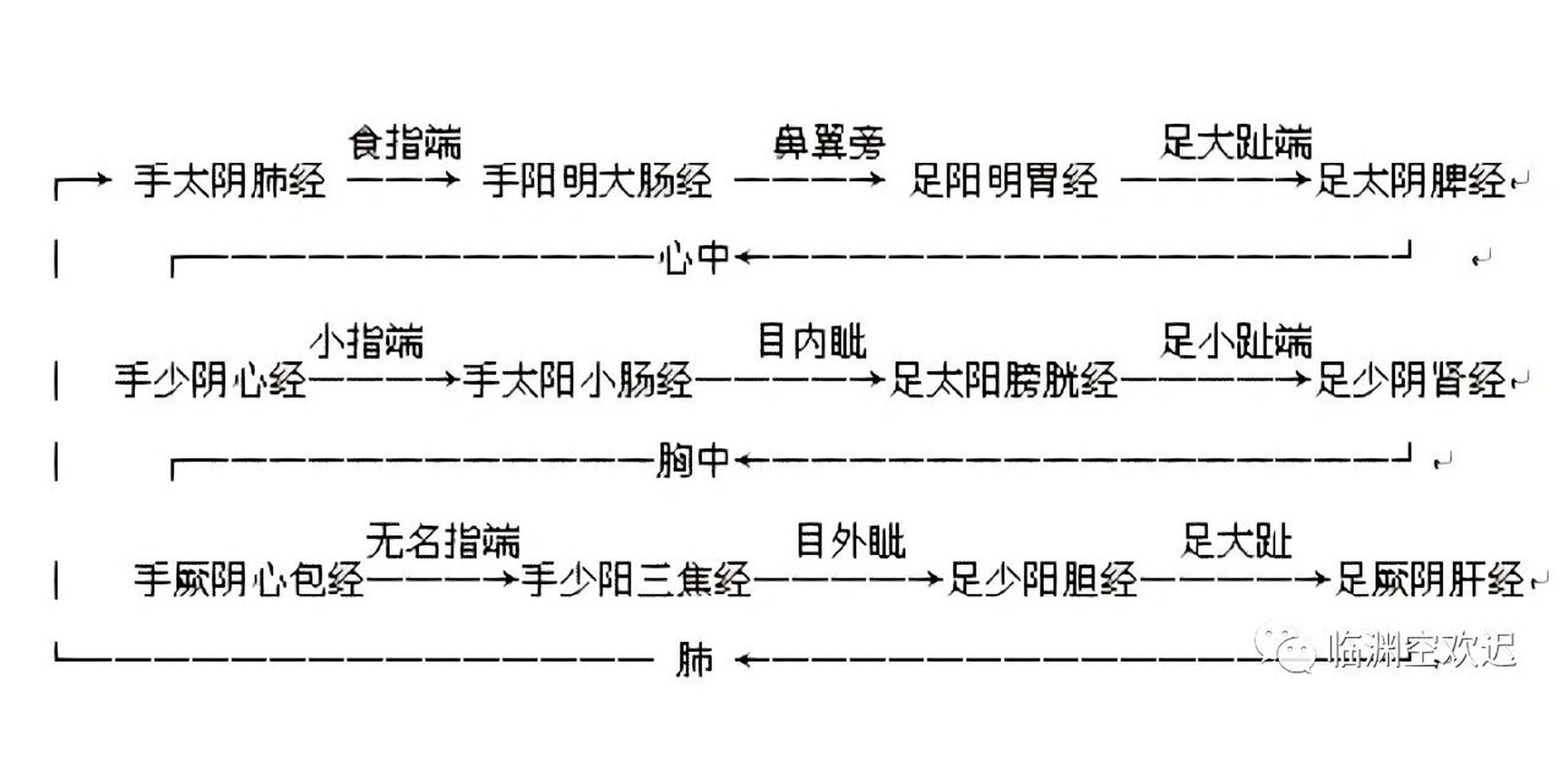 速记75十二经脉循行走向与交接规律 98首先,由图