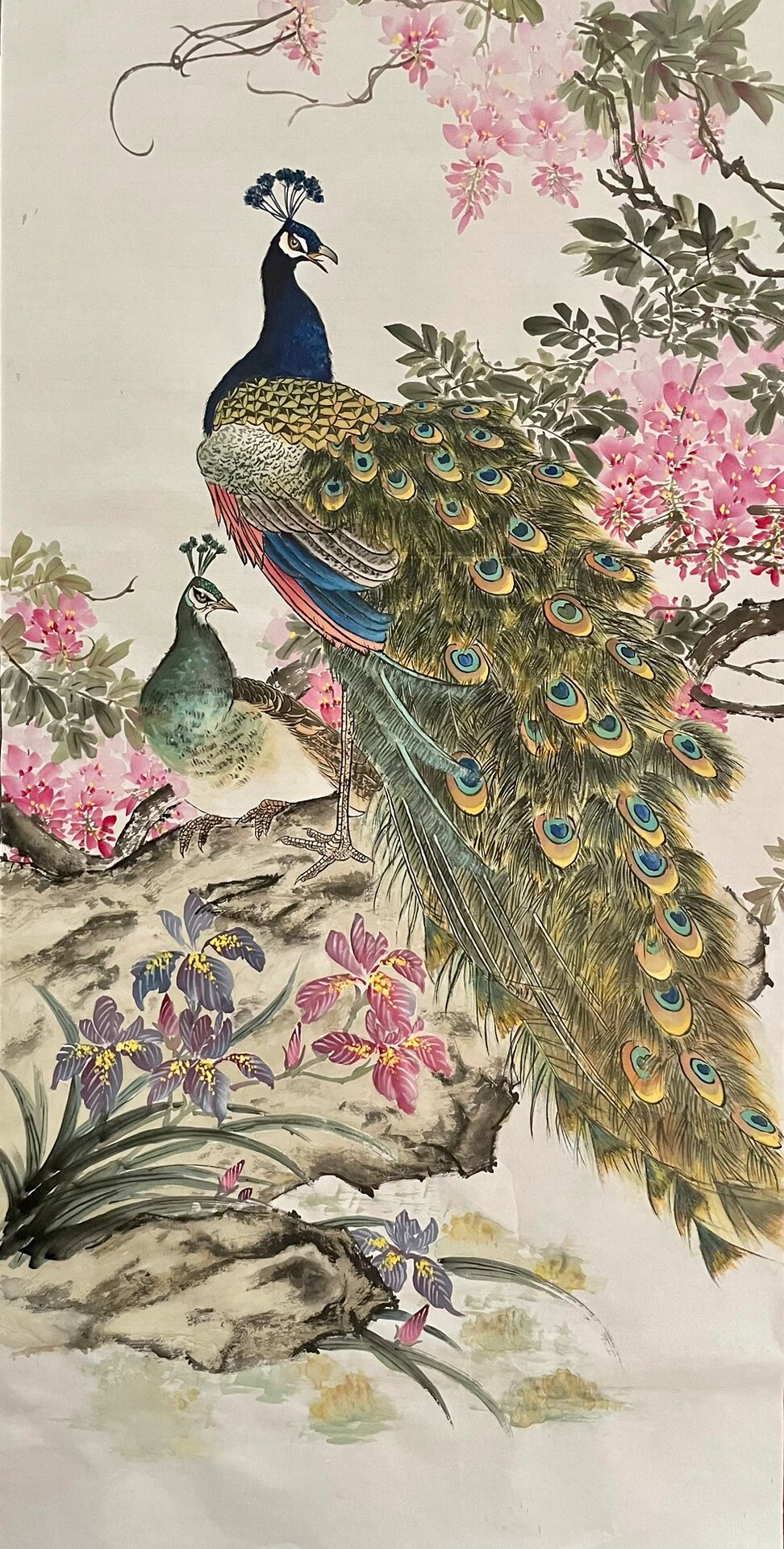 孔雀绘画过程图