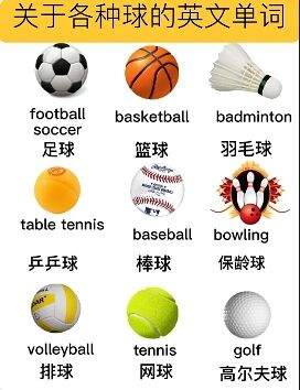 关于各种球的英语单词