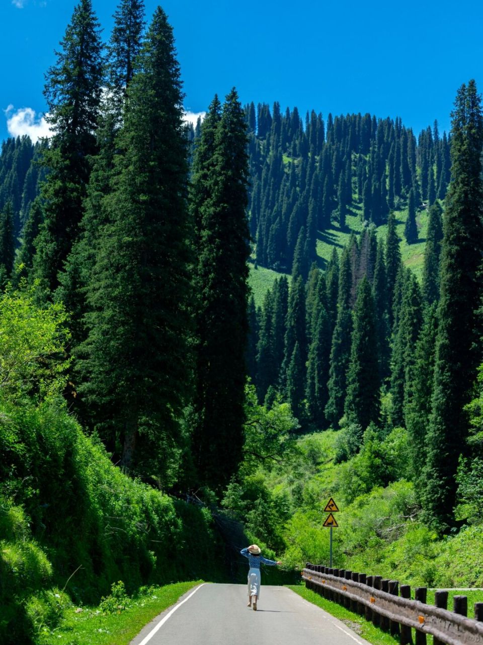 夏天的那拉提超美的 自驾在景区里穿梭 自由自在的感觉真好 还看到了
