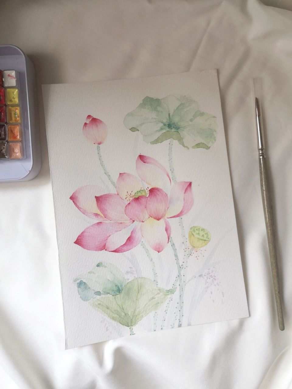 水彩荷花含步骤|渺渺清风,荷田微漾 描写荷花最美的句子是?