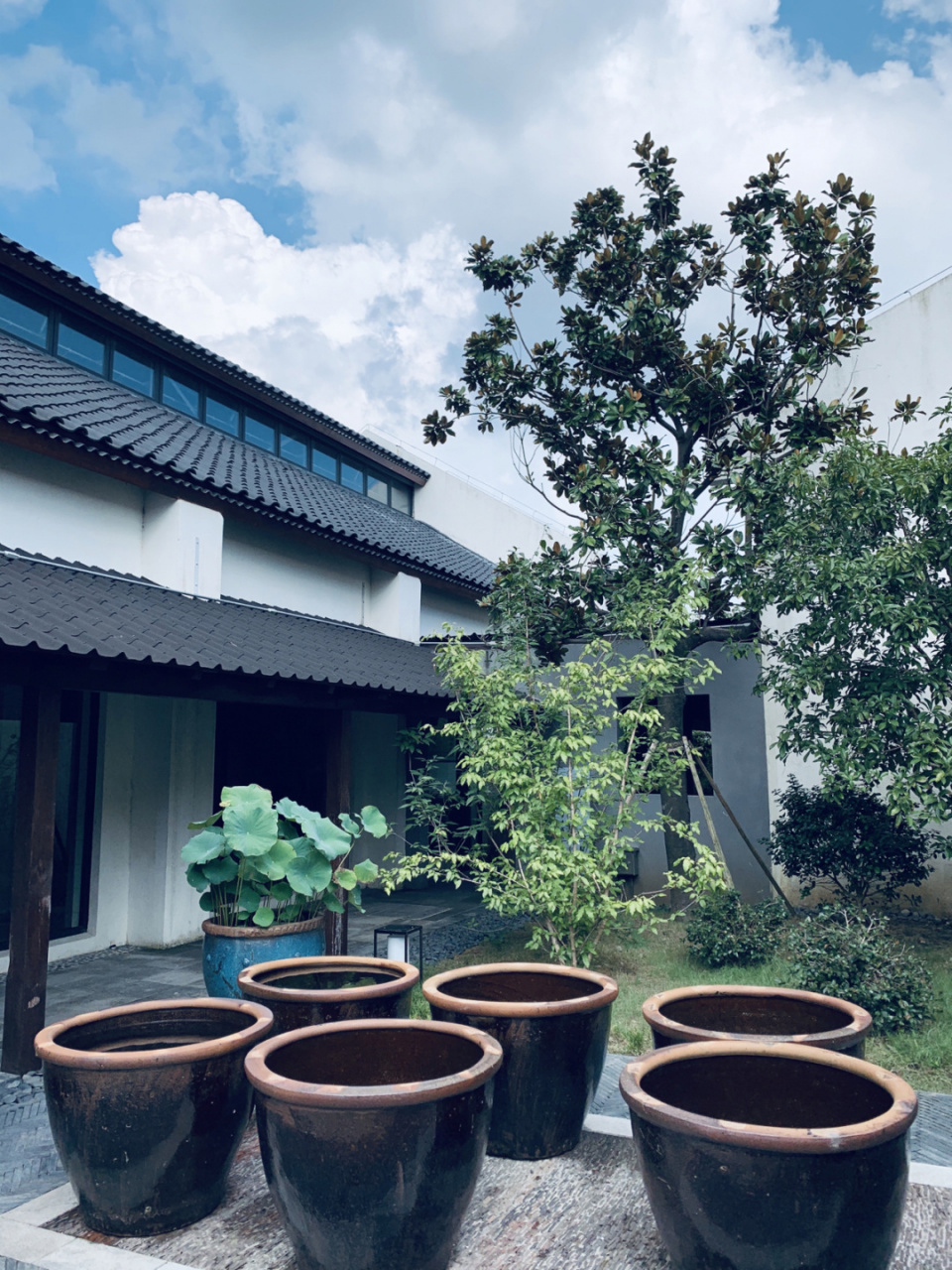 99关于万三酒庄 万三酒庄坐落于中国第一水乡周庄北部的天花荡湖畔