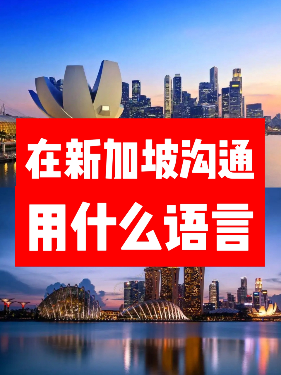 在新加坡9492用什么语言沟通呢04 6015担心留学不适应?