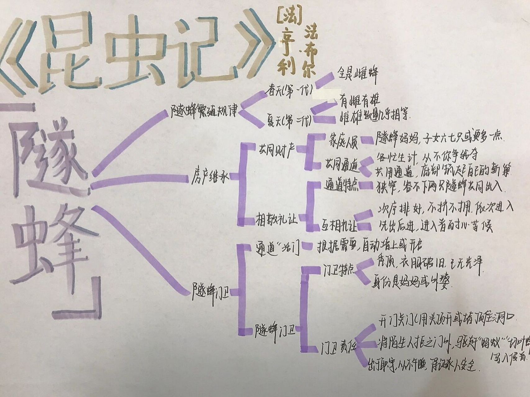 隧蜂思维导图图片