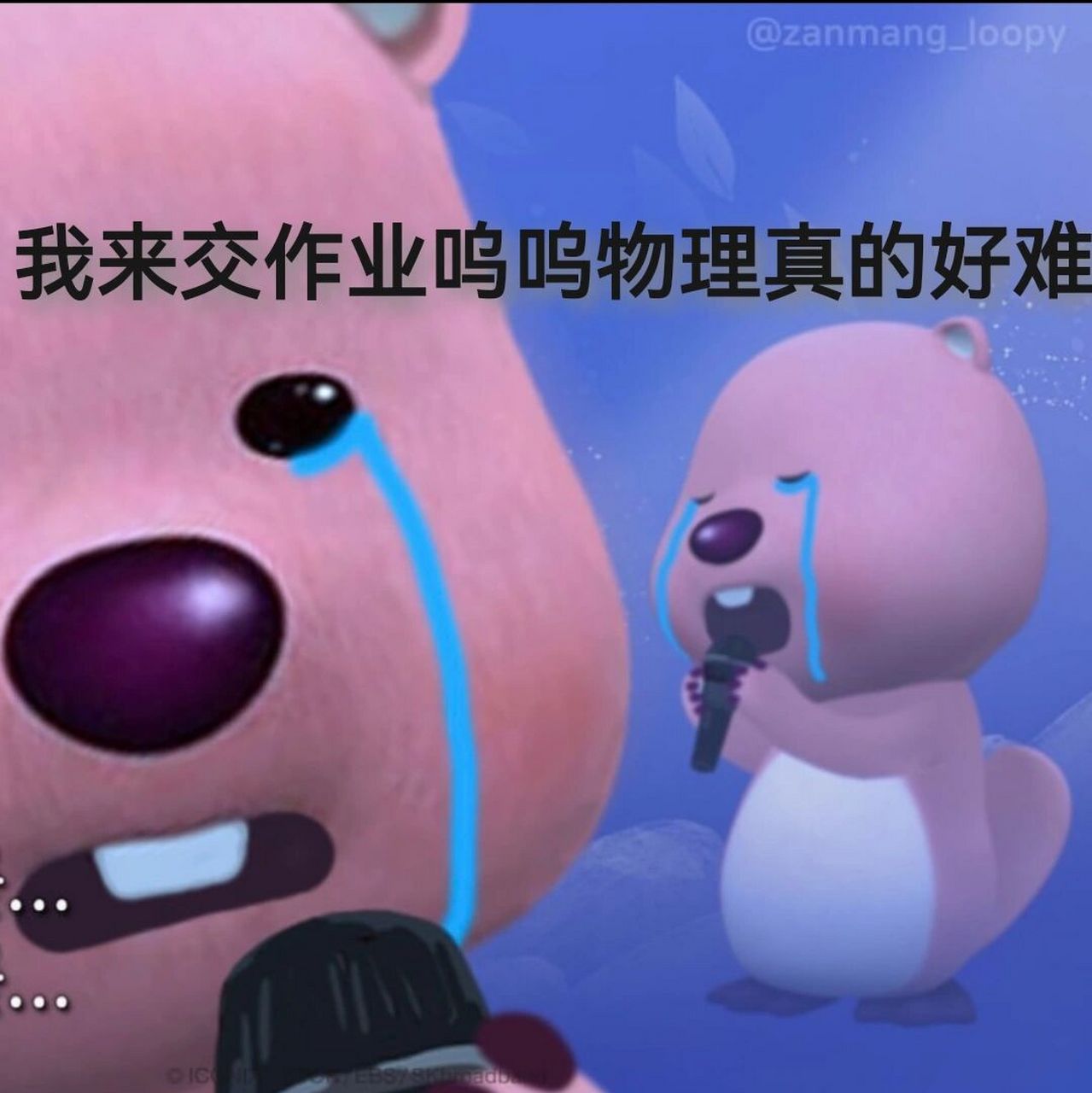 露比loopy交作业专用表情包