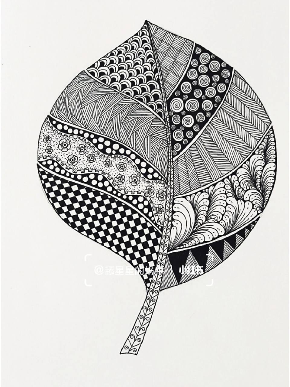 线描创作‖原创黑白线描画《叶子》图文版 一片叶,两片叶,片片叶,将你