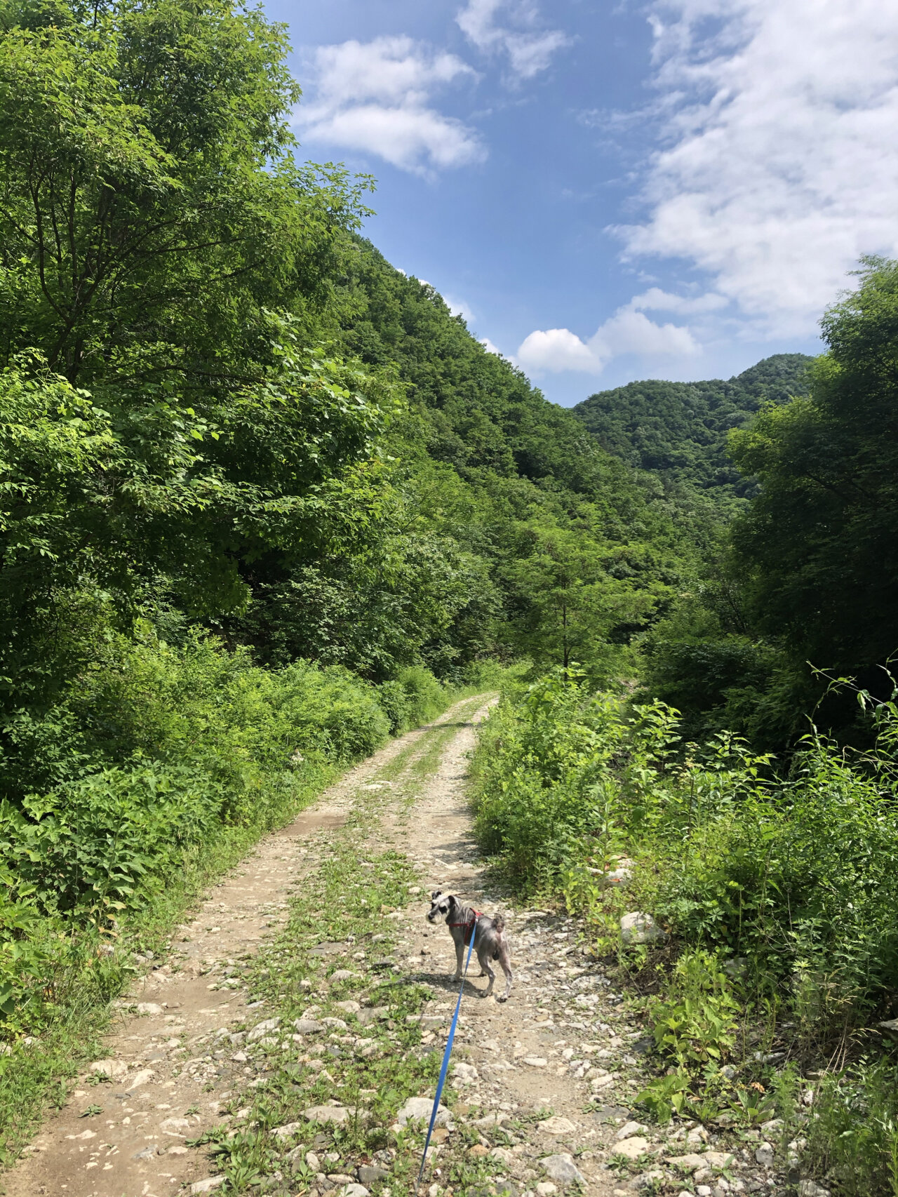 辽阳暴马川风景区门票图片