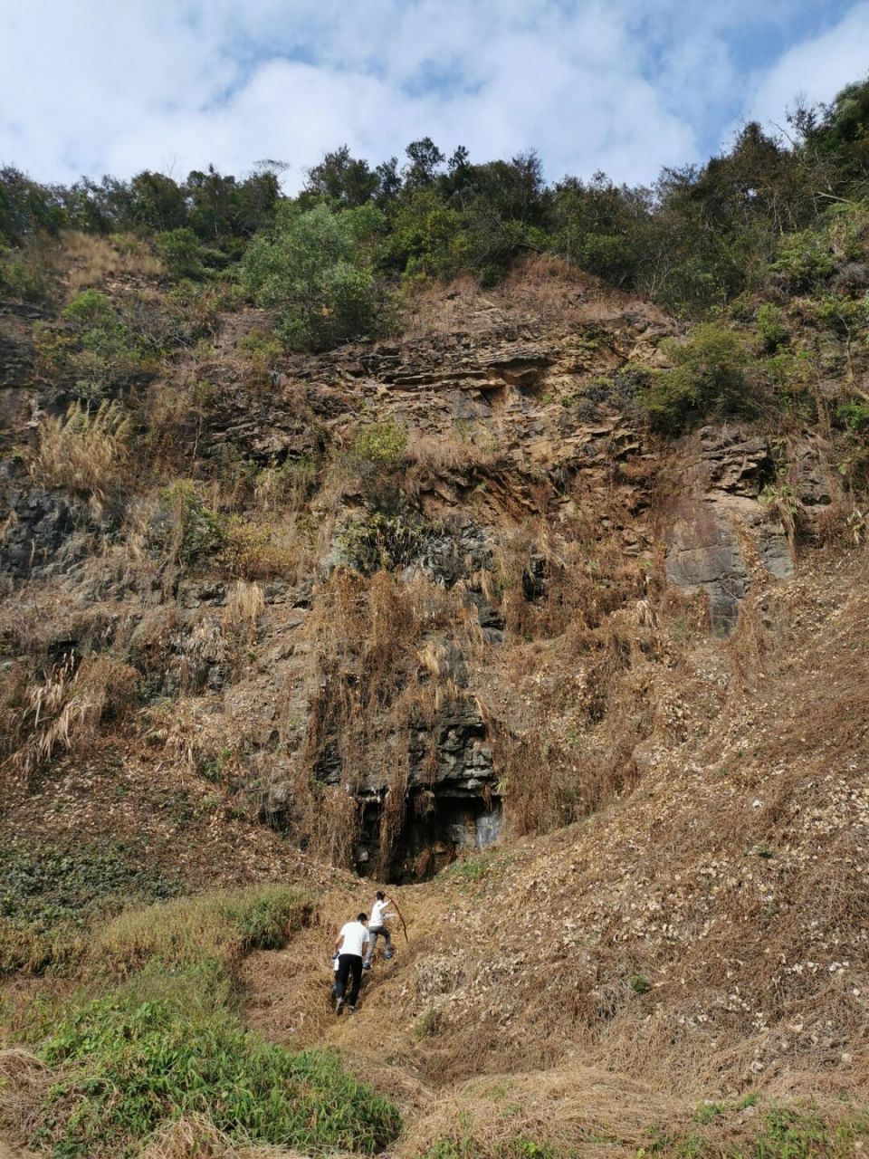 围岭公园,位于罗湖区布心片区,是一座藏在城市中的原生态的公园.
