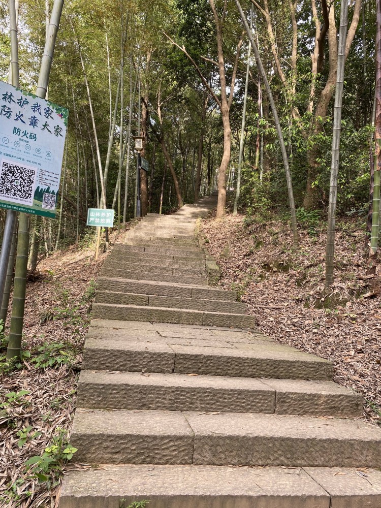 杭州湘湖小白爬山系列之西山游步道