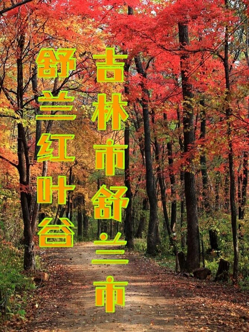 舒兰红叶谷,0门票,出行攻略送给你 吉林有两个红叶谷,一个在蛟河,另一