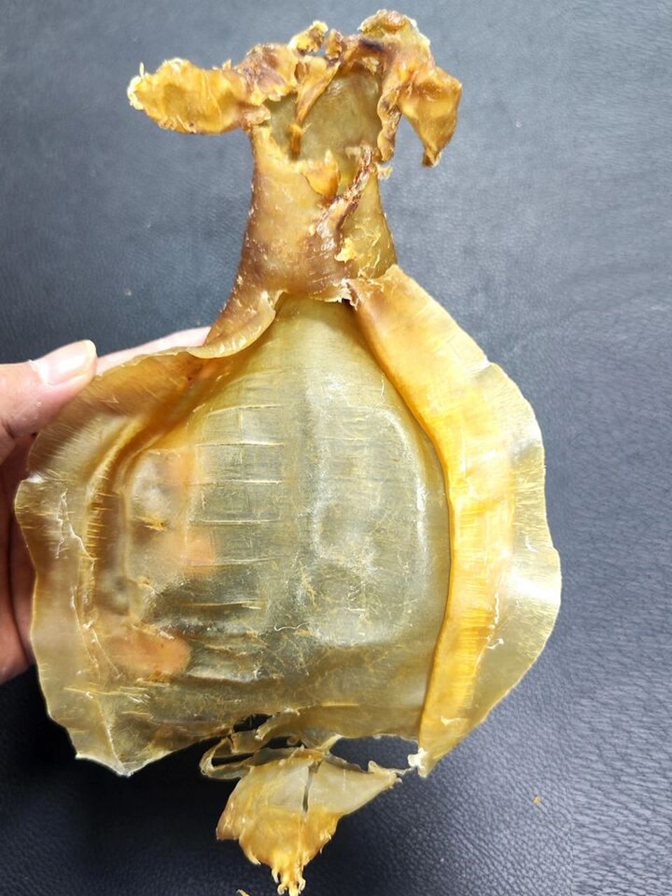 不宜收藏,适合自吃 #大耳赤嘴公# #赤嘴##大耳赤嘴##鱼胶图片