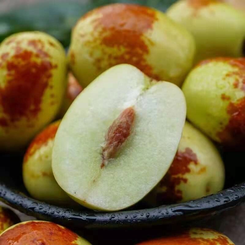 金丝蜜枣 【什么是云南金丝蜜枣?】 产量不大,比较小众的一款枣.