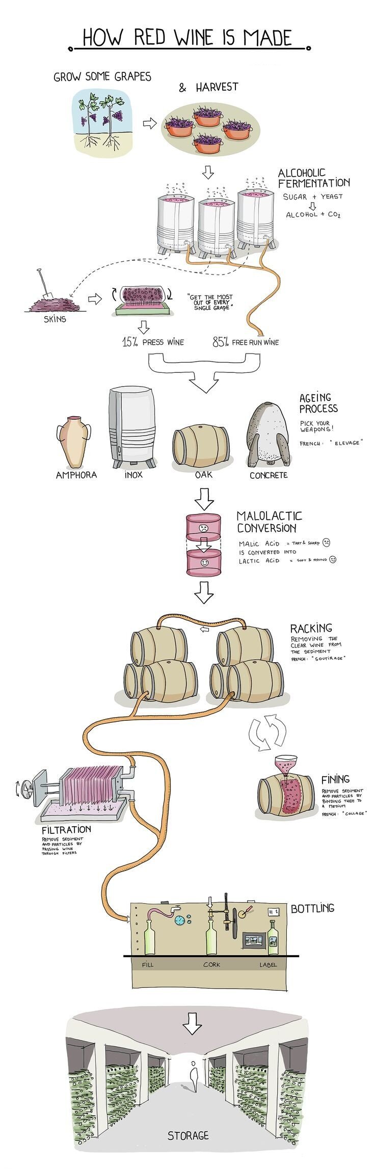 红酒工厂制作过程图片