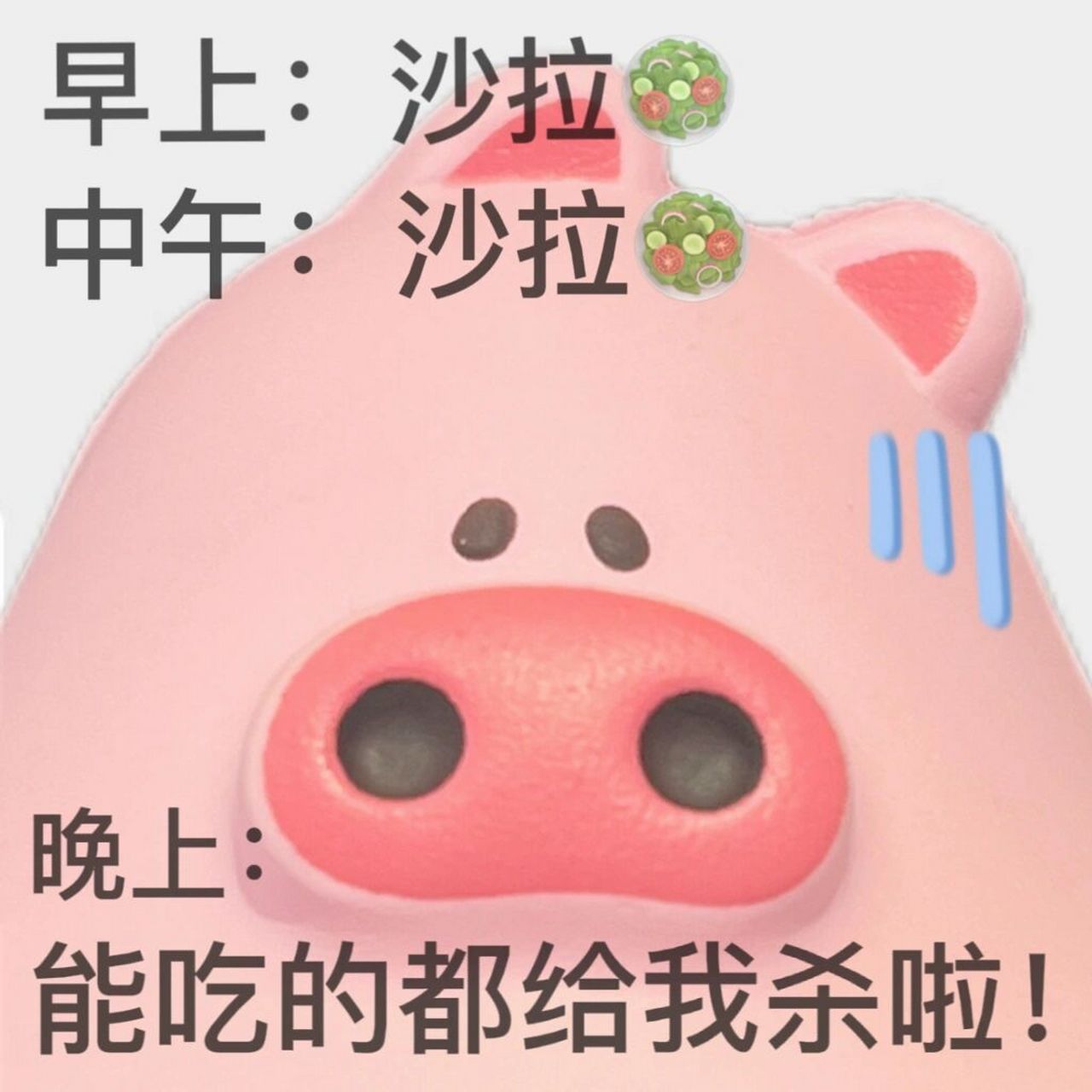 表情包|就说是不是你本人? 明天我一定能坚持住