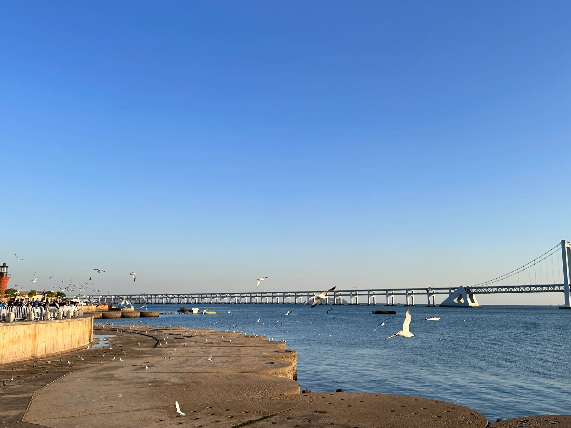 辽宁大连10月份天气太舒服了 98 从南方过来的 喜欢大连天气 看得我