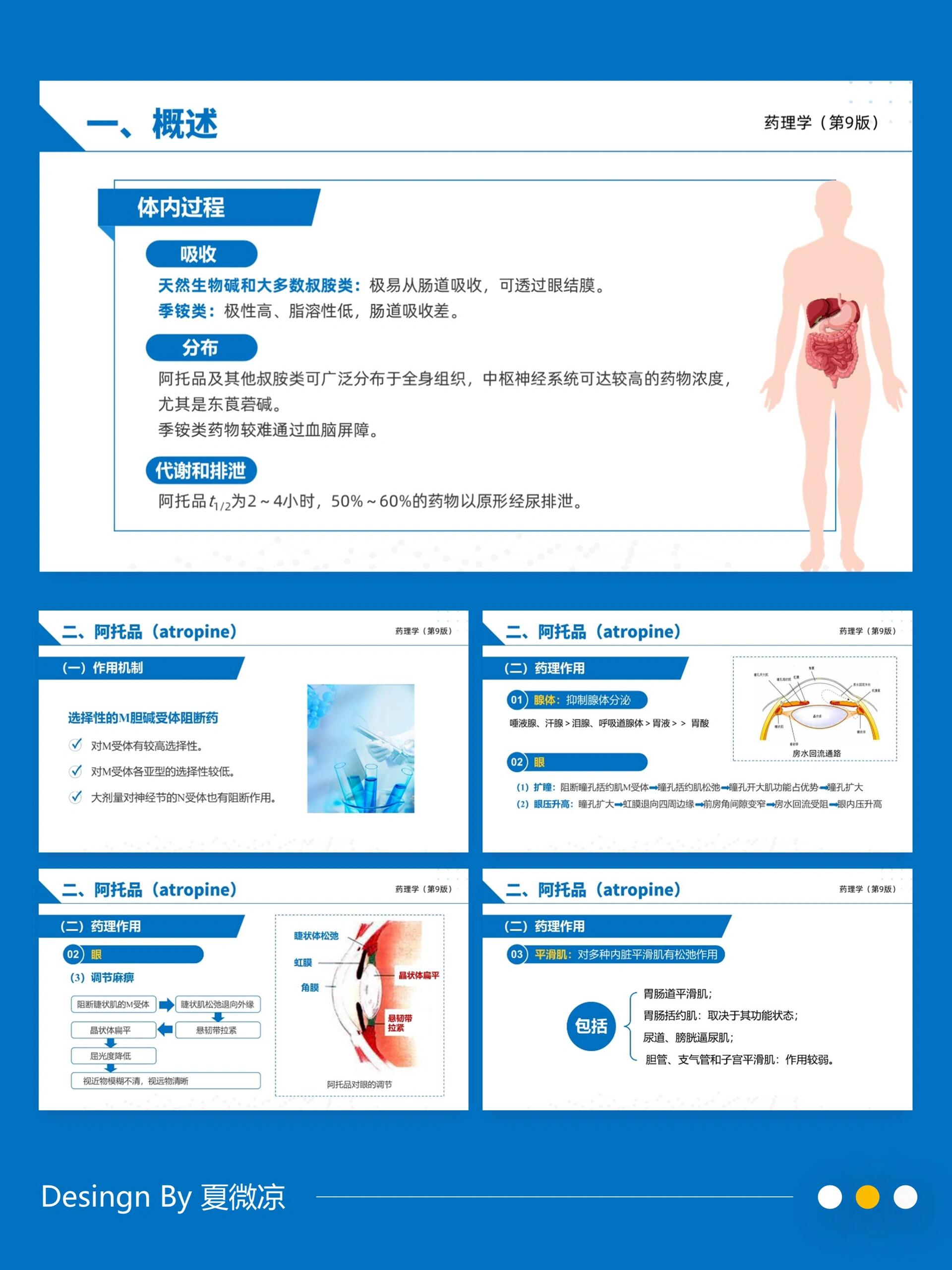 β受体阻断药图片