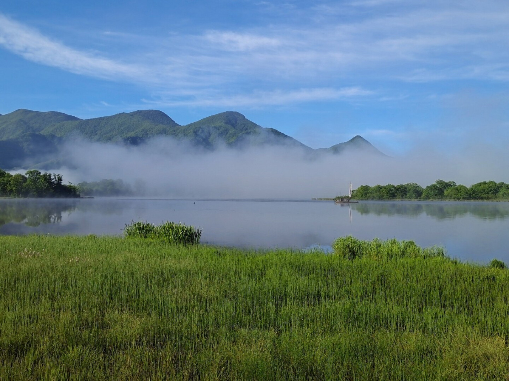 美如画的神农架大九湖晨雾 前言: 早就听说过神农架很大,其中的大九湖