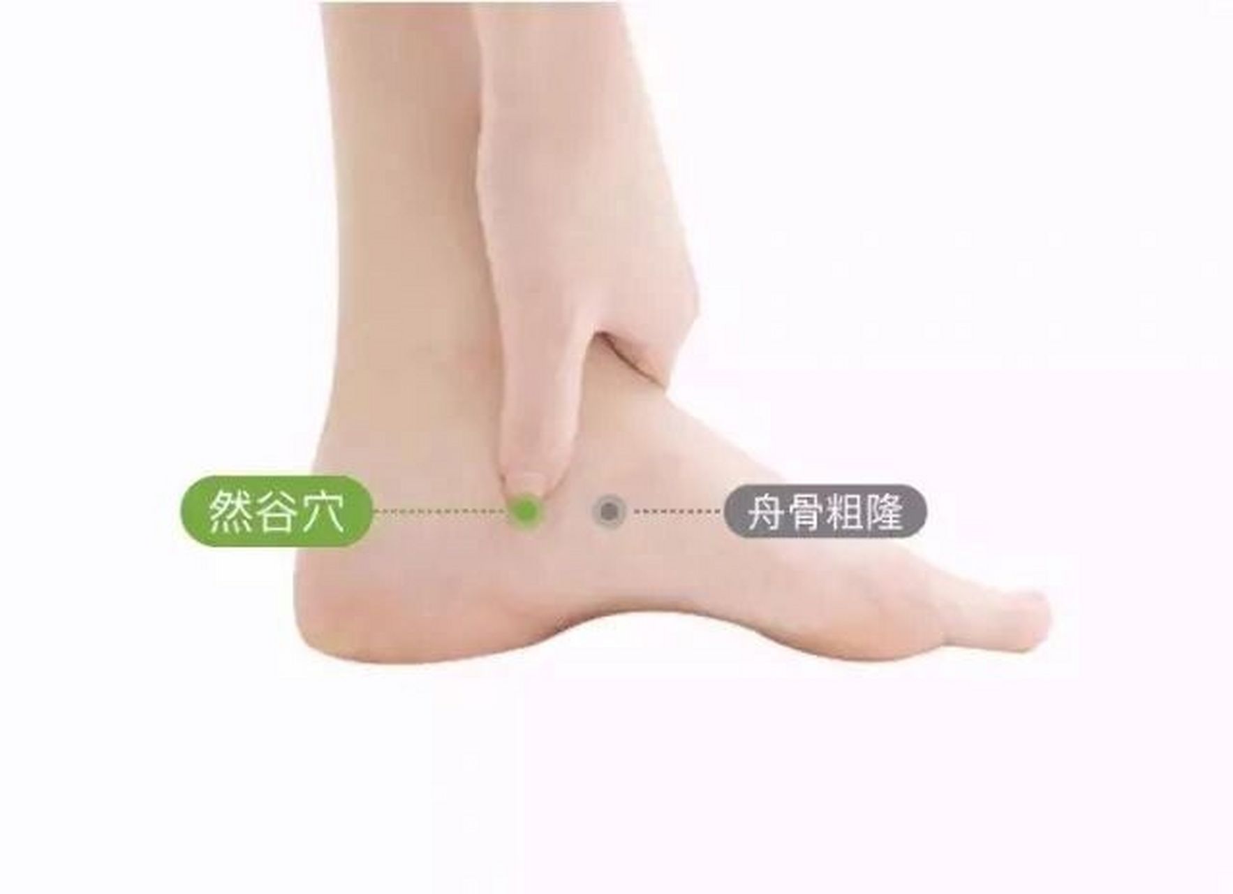 【精准定位】 然谷穴在我们脚的内侧,可以用手先摸一下脚的内踝骨