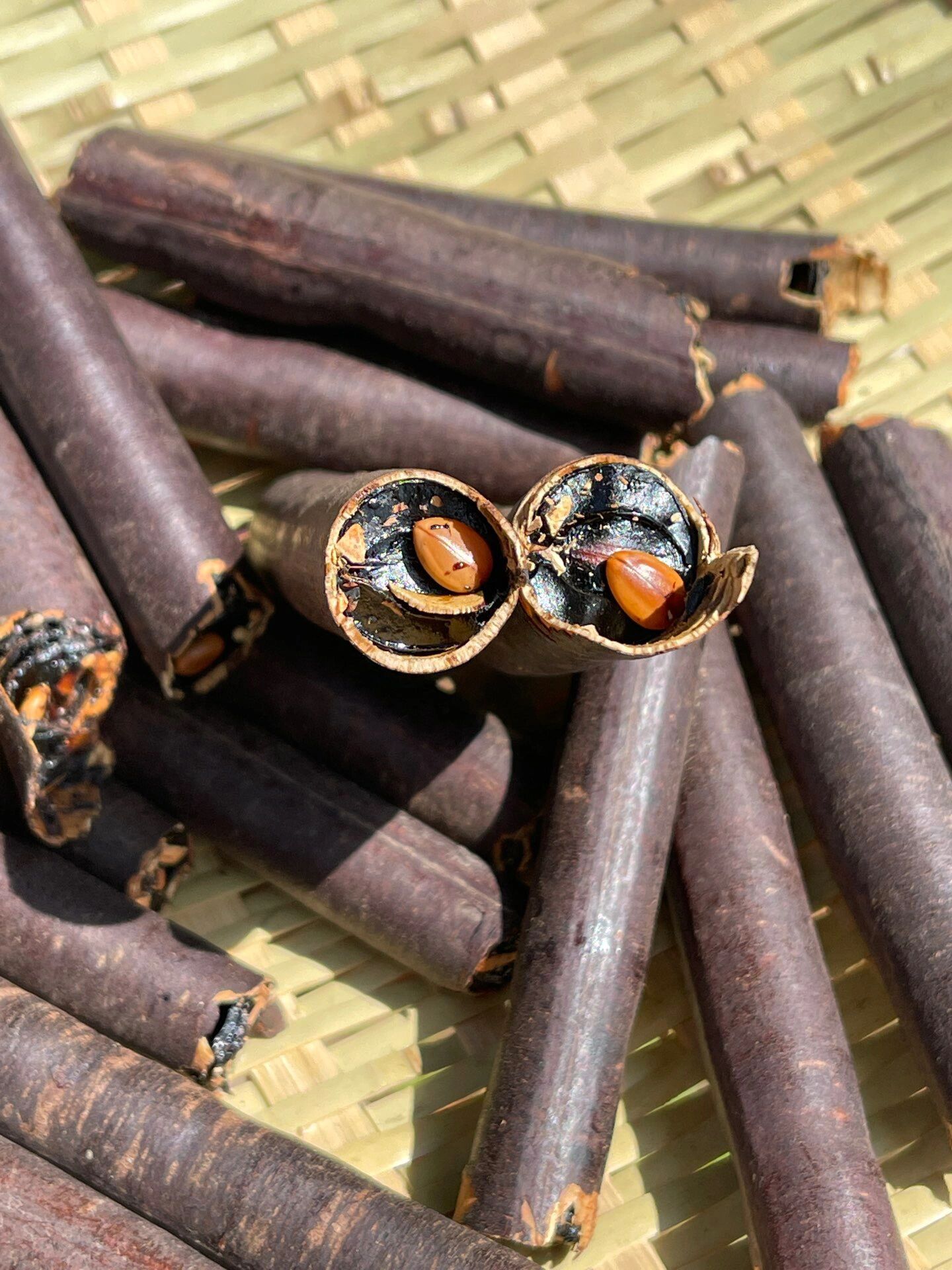 铁肠胃福星82尼泊尔奇异果奇异果其实就是腊肠树的果实90腊肠果