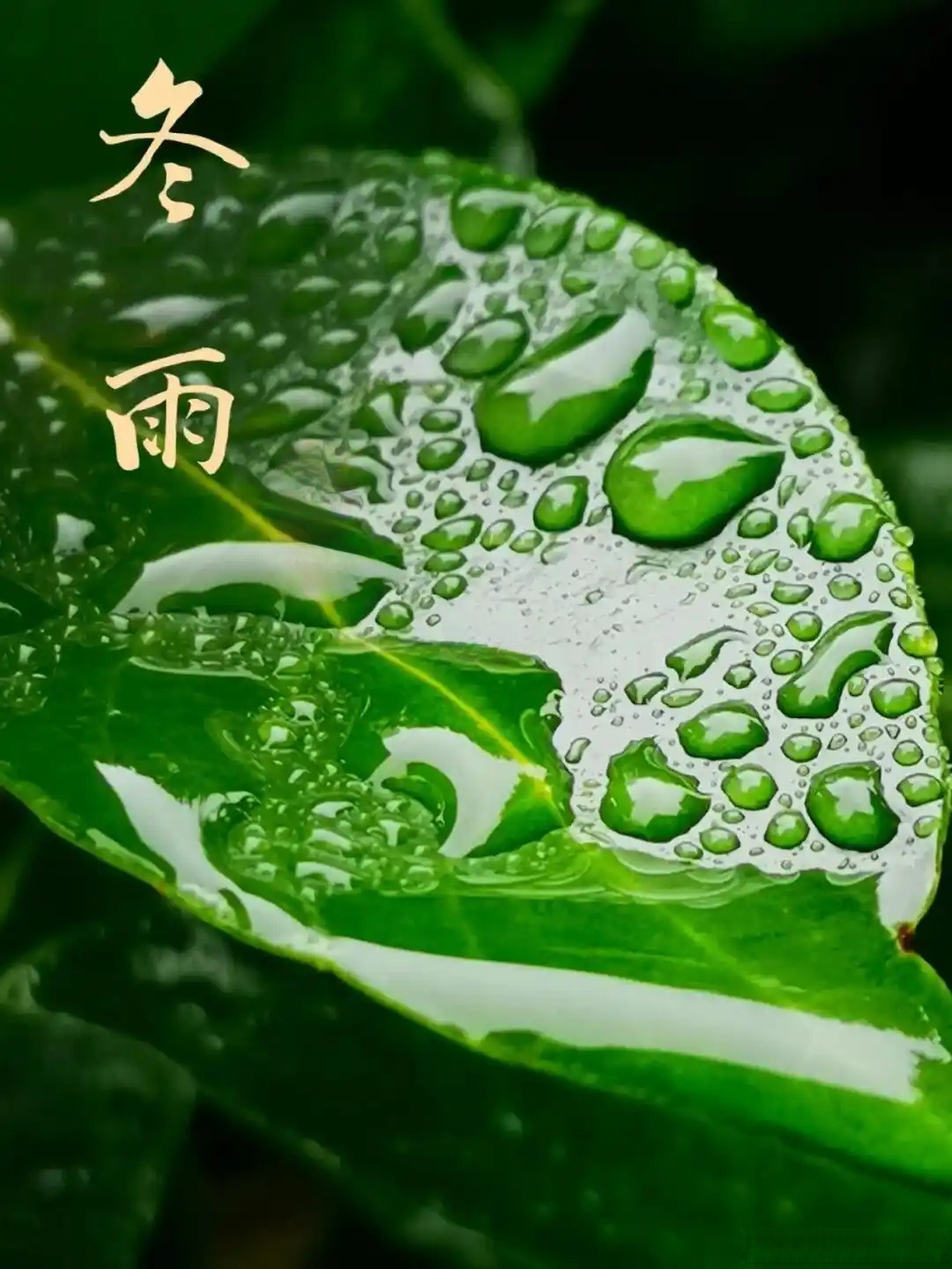 河畔小桥石梯,没有牵手的旅途,心事该向谁倾诉?