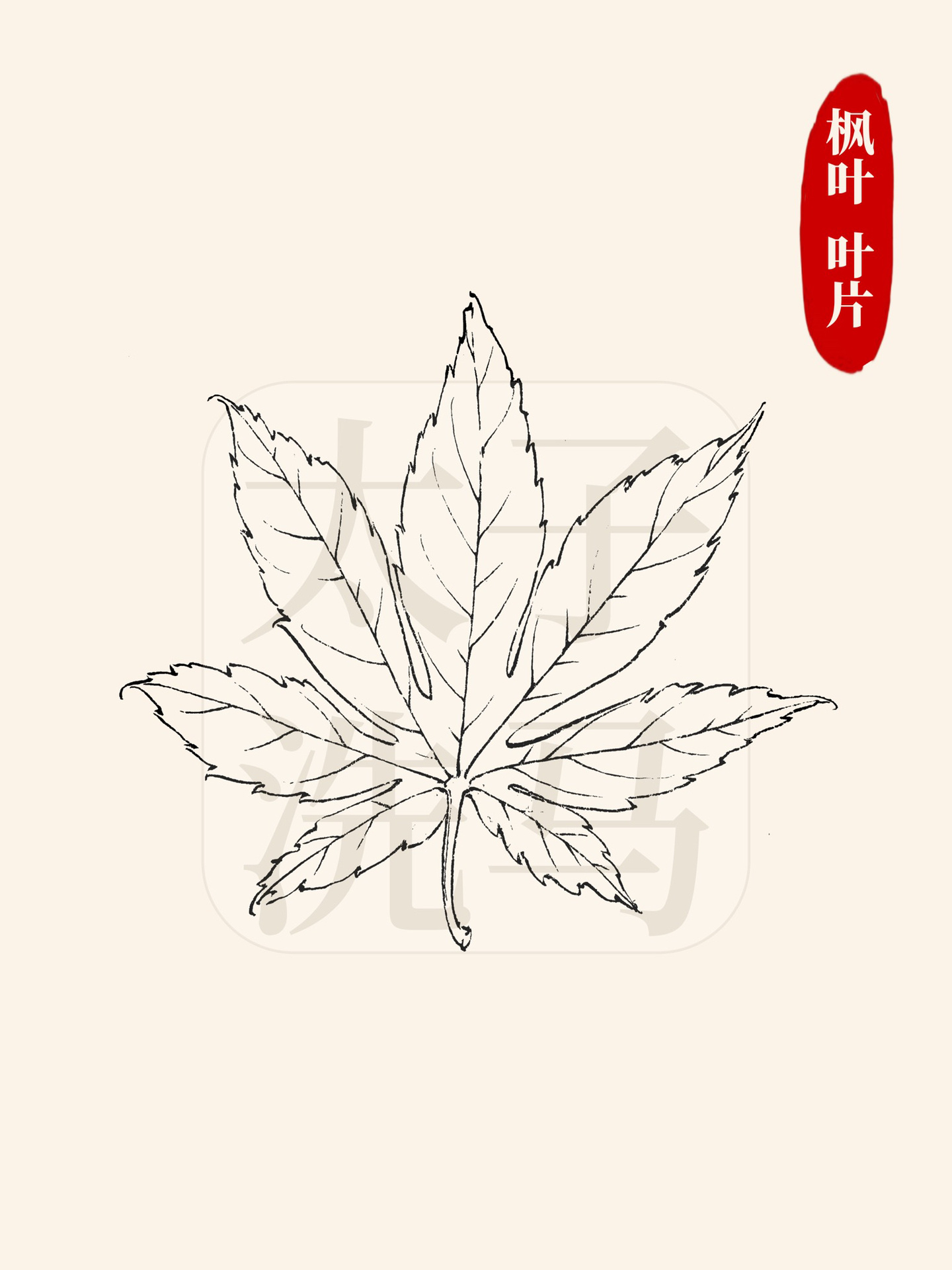其中包括牡丹叶片,菊花叶片,牵牛花叶片,蜀葵叶片,萱草叶片,枫叶叶片