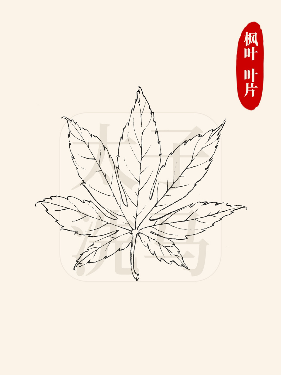 国画入门|95常见叶子白描/线描合集97第1弹 98今天分享的是国画