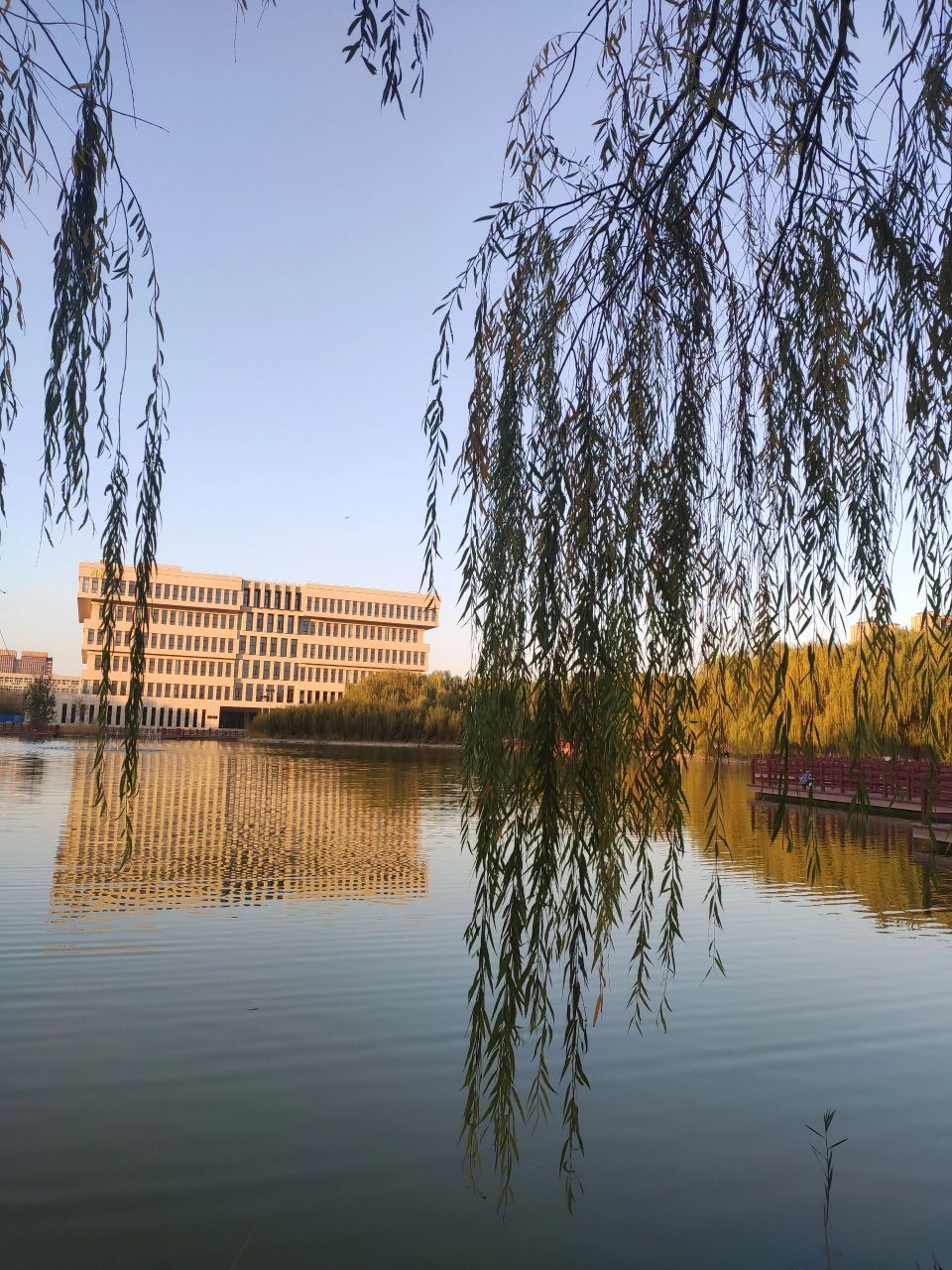 沧州医学高等专科学校