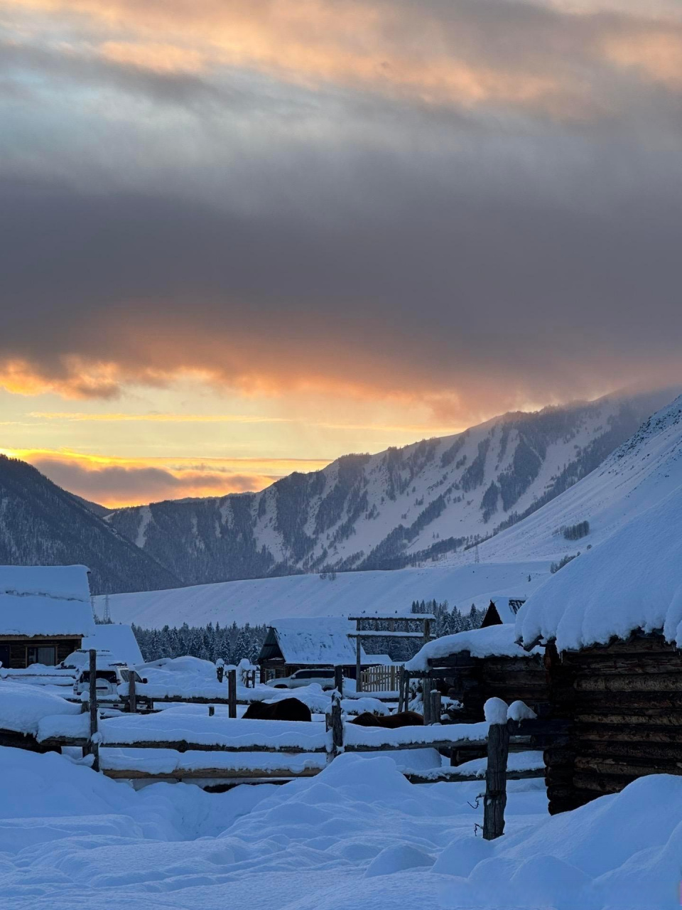 爱上阿勒泰的冬天 这里有最美的雪景